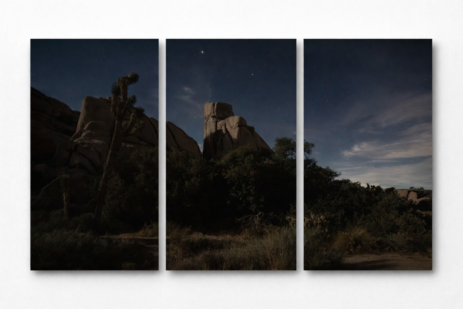 Desert nightscape with Joshua Tree.png