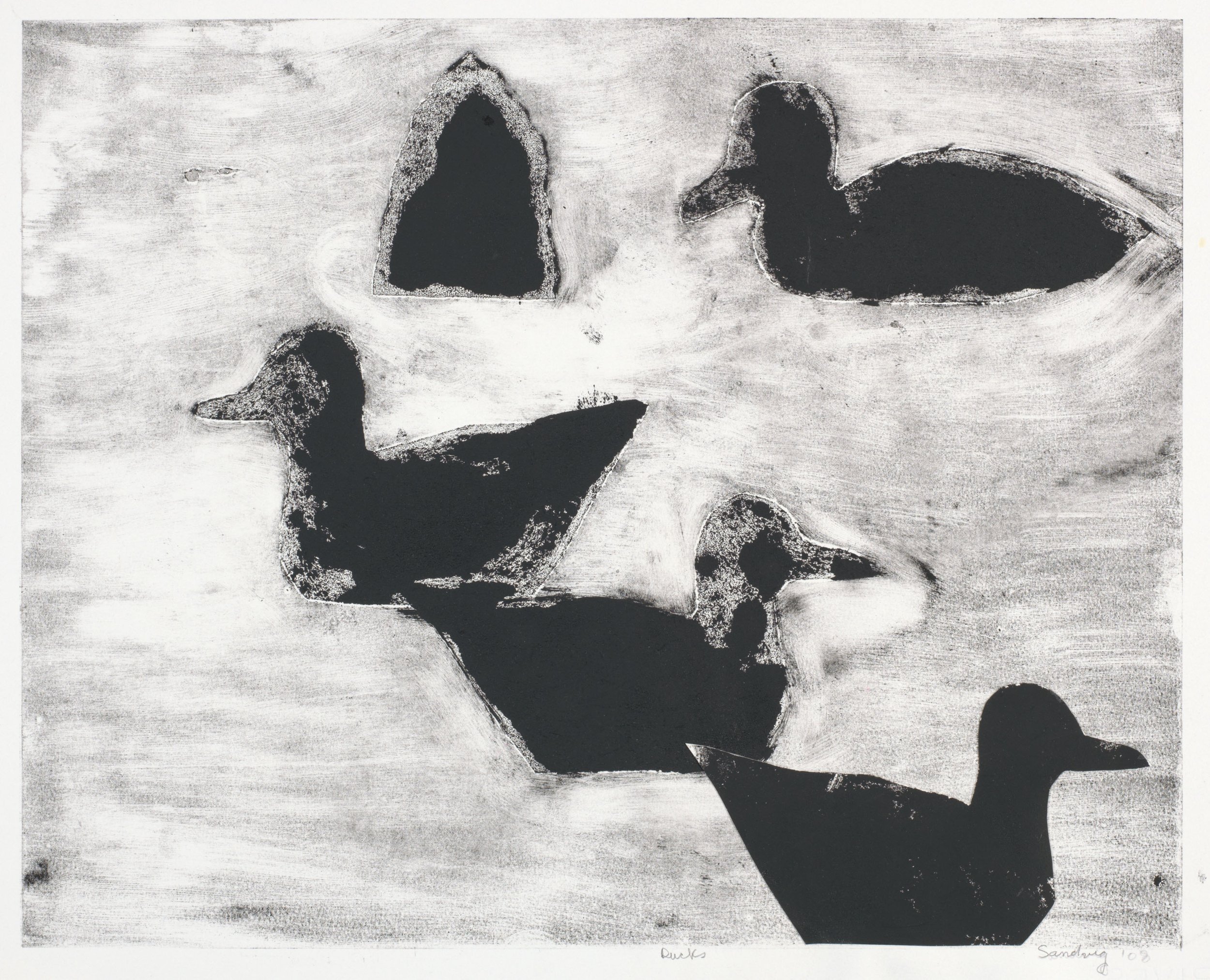 Ducks, 2008