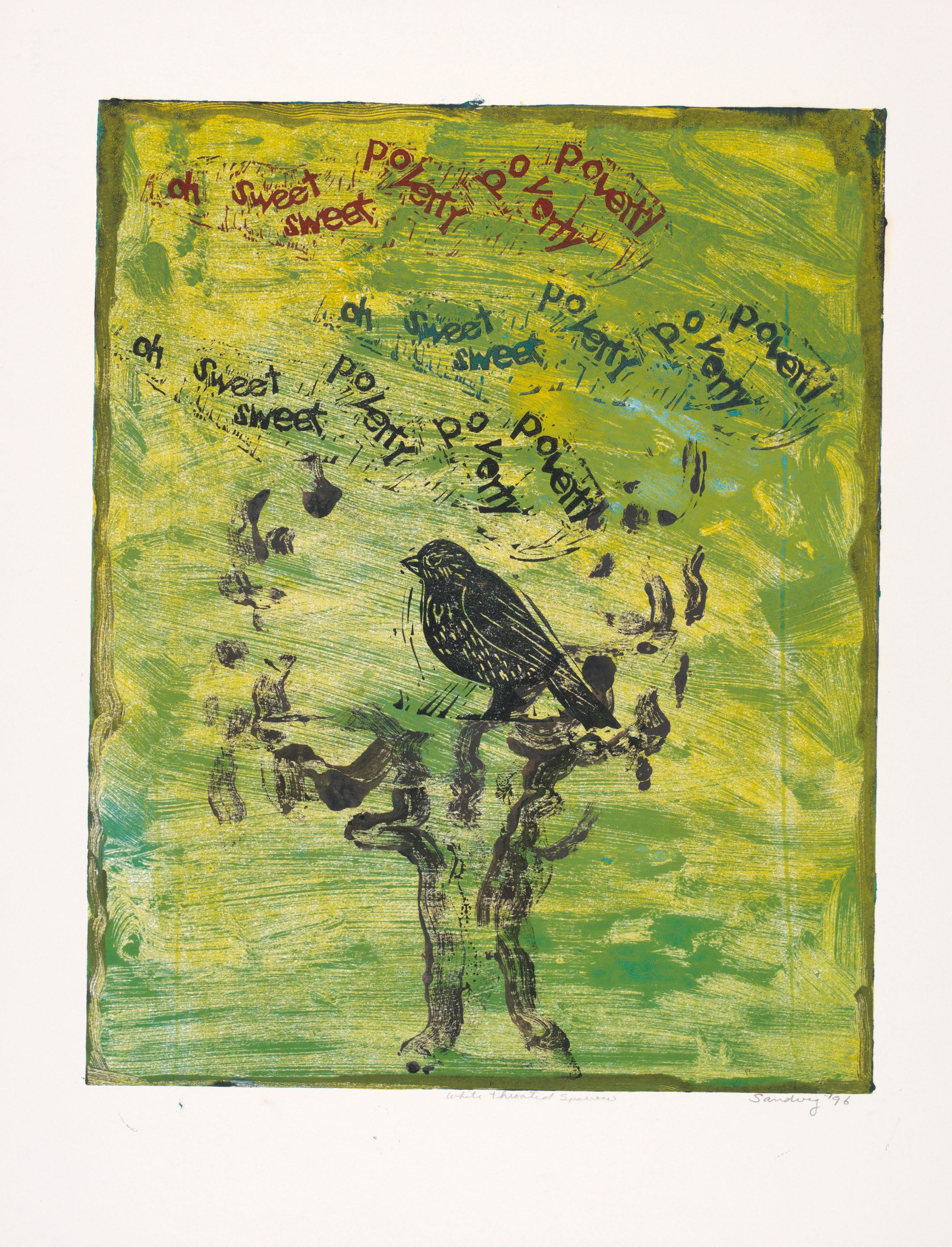 White Throated Sparrow, 1996