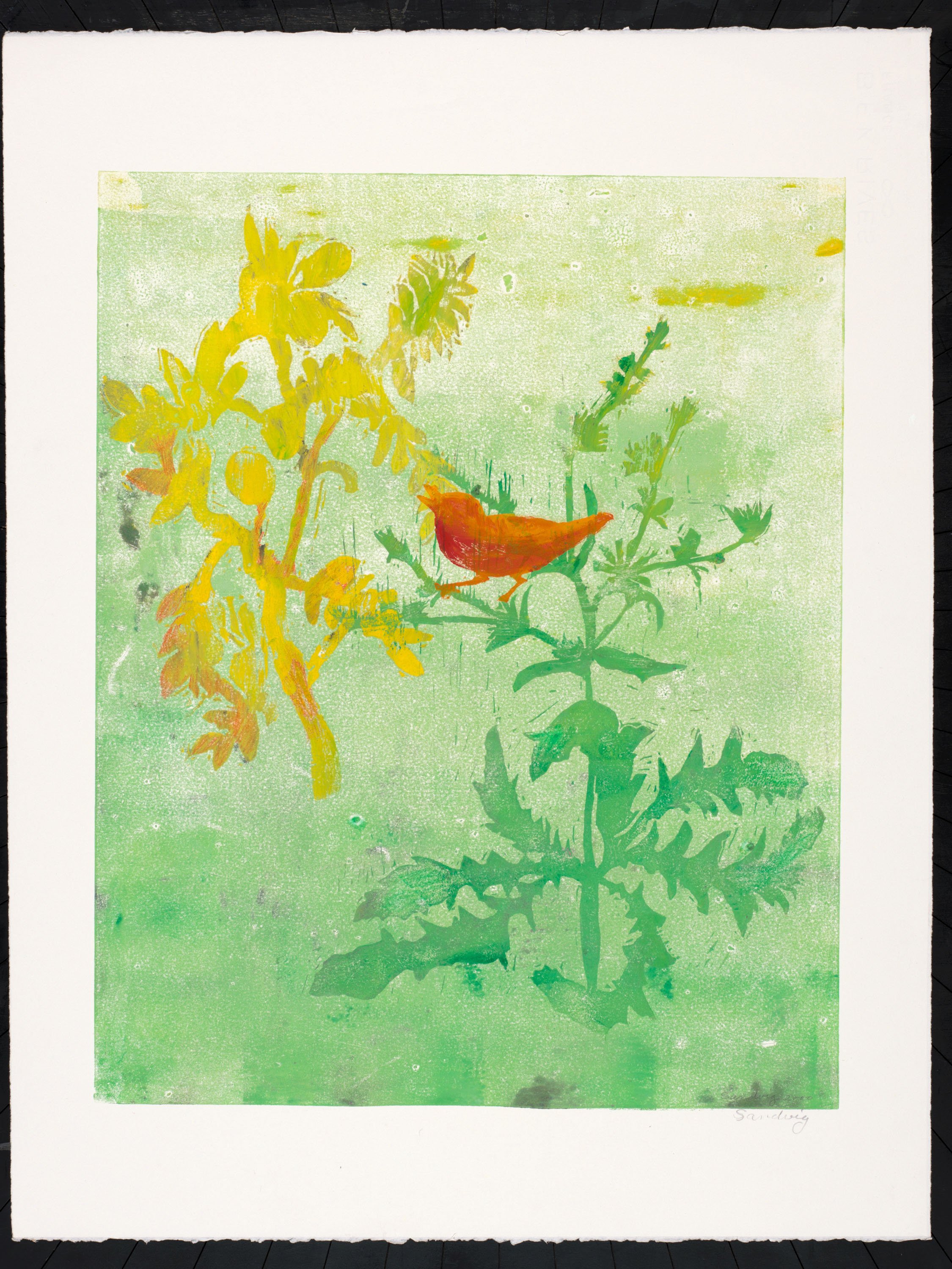 Sandvig_Monoprint_051.jpg