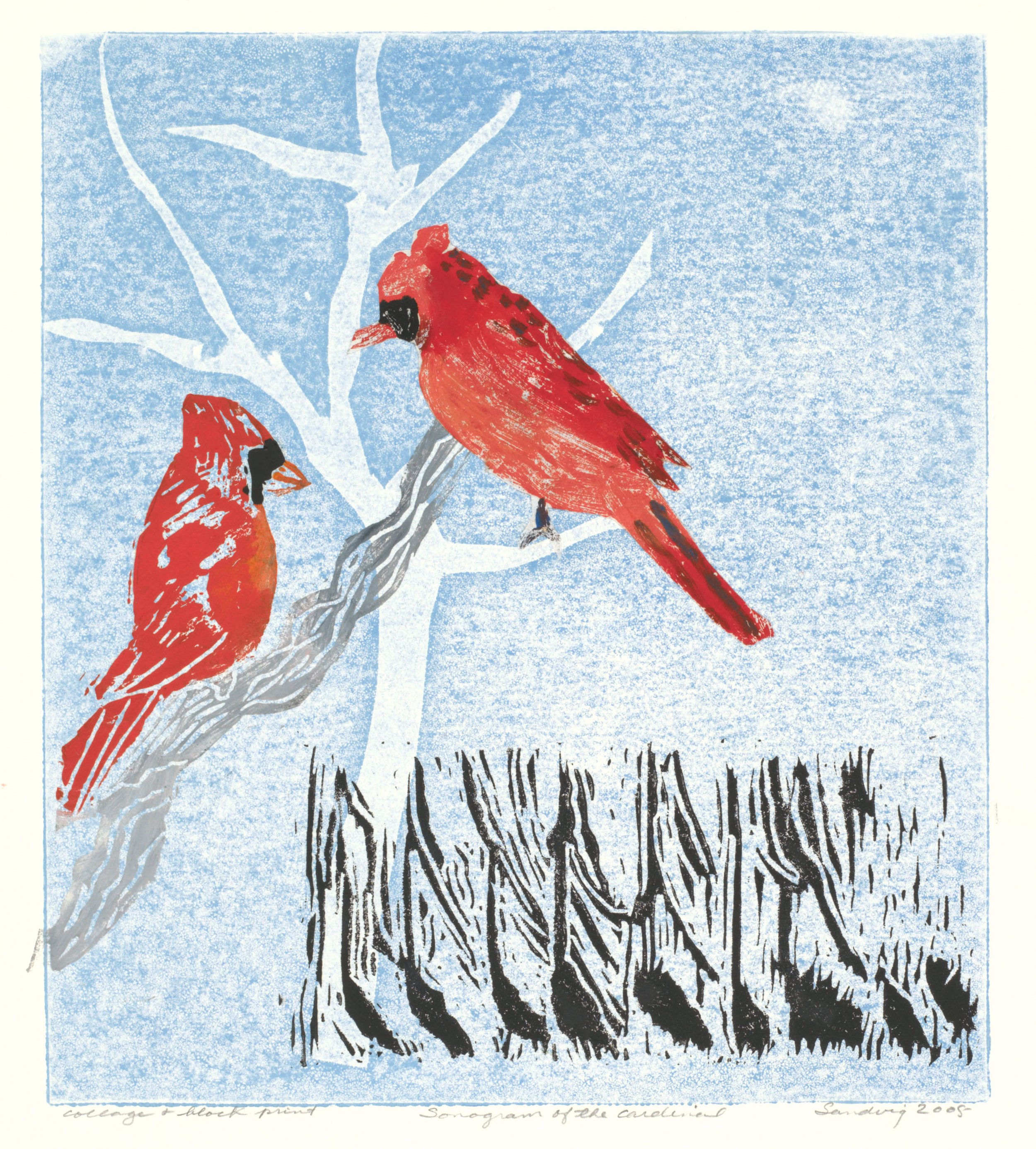 Sonogram of the Cardinal, 2005