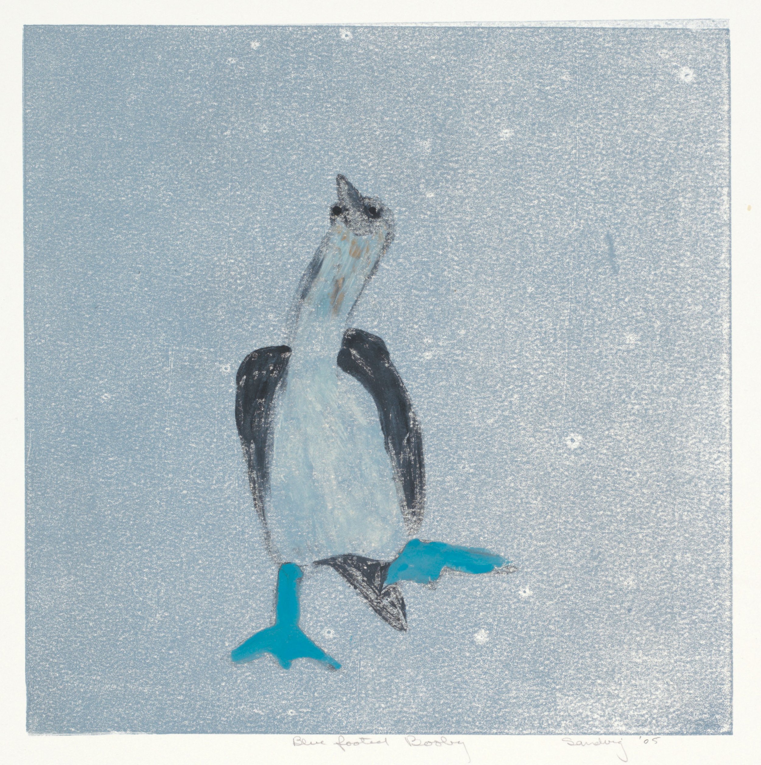 Blue Footed Boobies, 2005