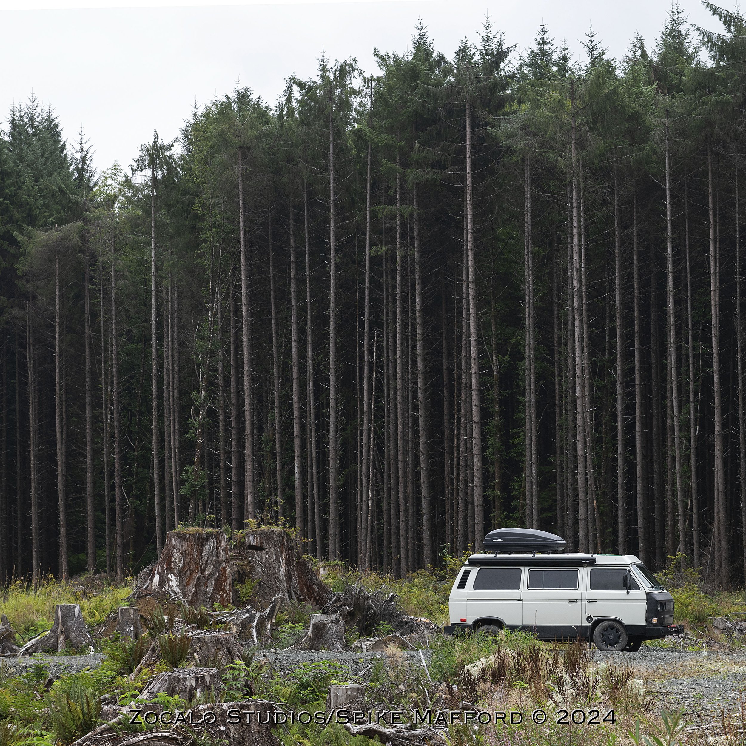 Vancouver_tree_Stump_and_van.jpg