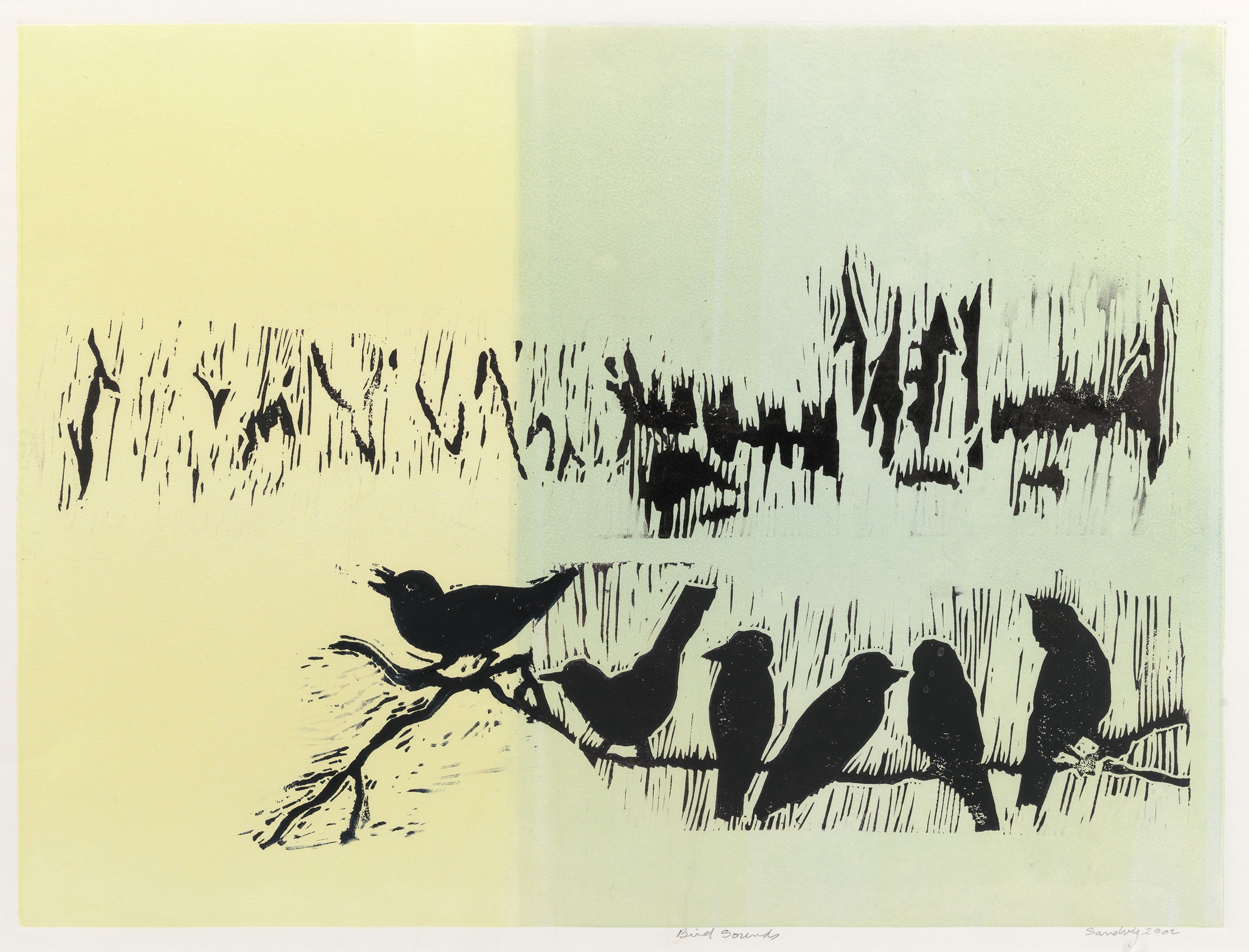 Bird Sounds, 2002