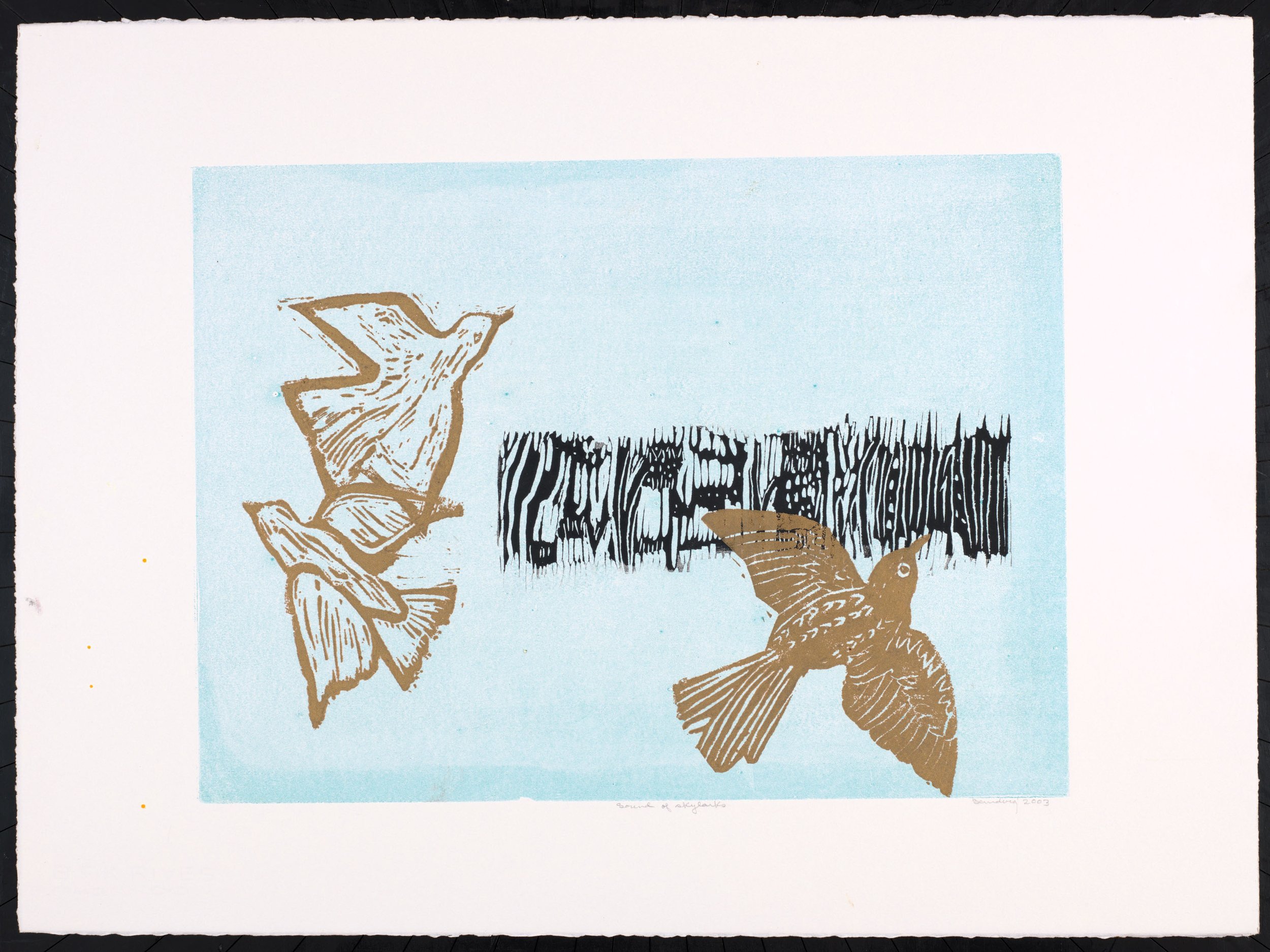 Sound of Skylarks, 2003
