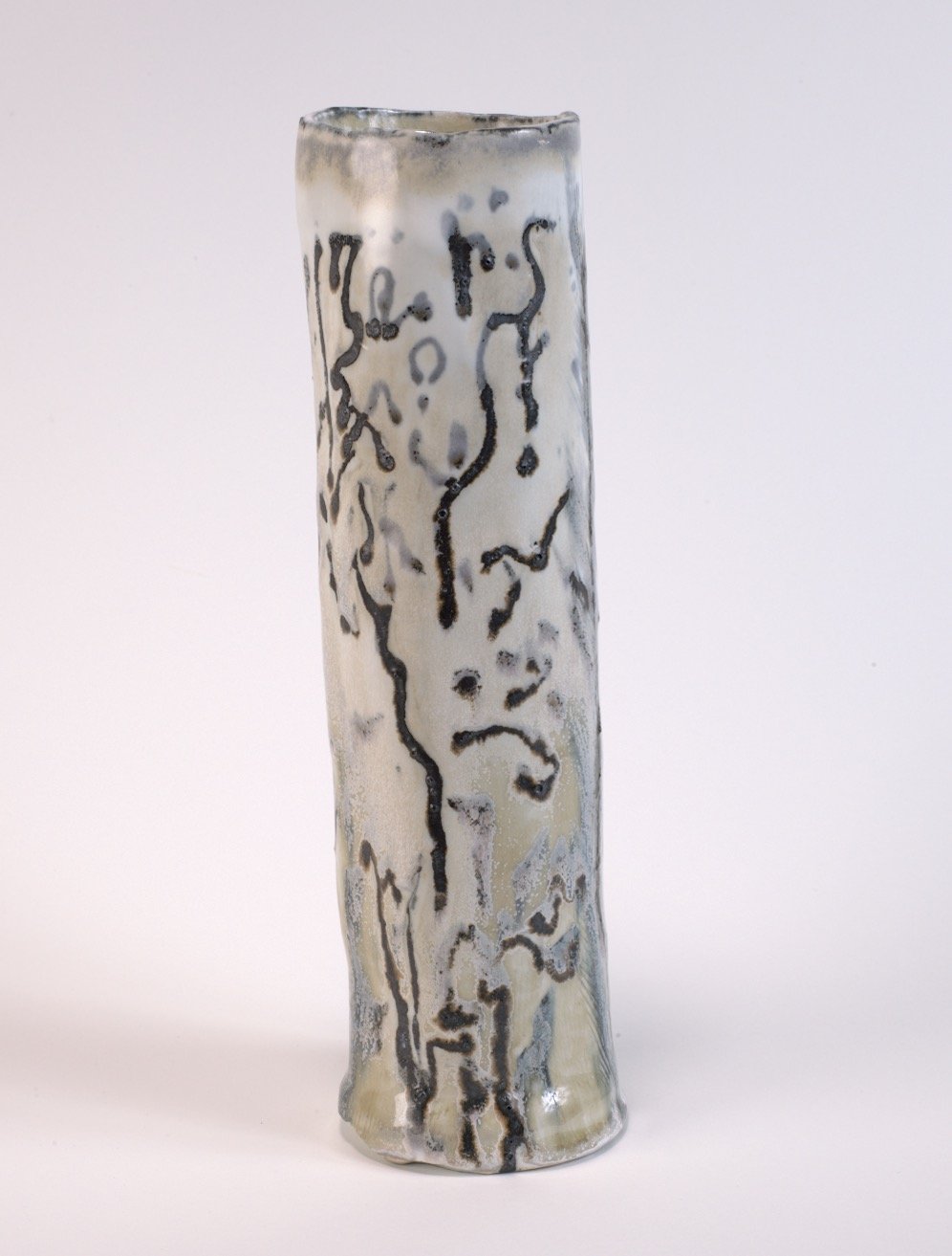 Black and White Tree, 2010s