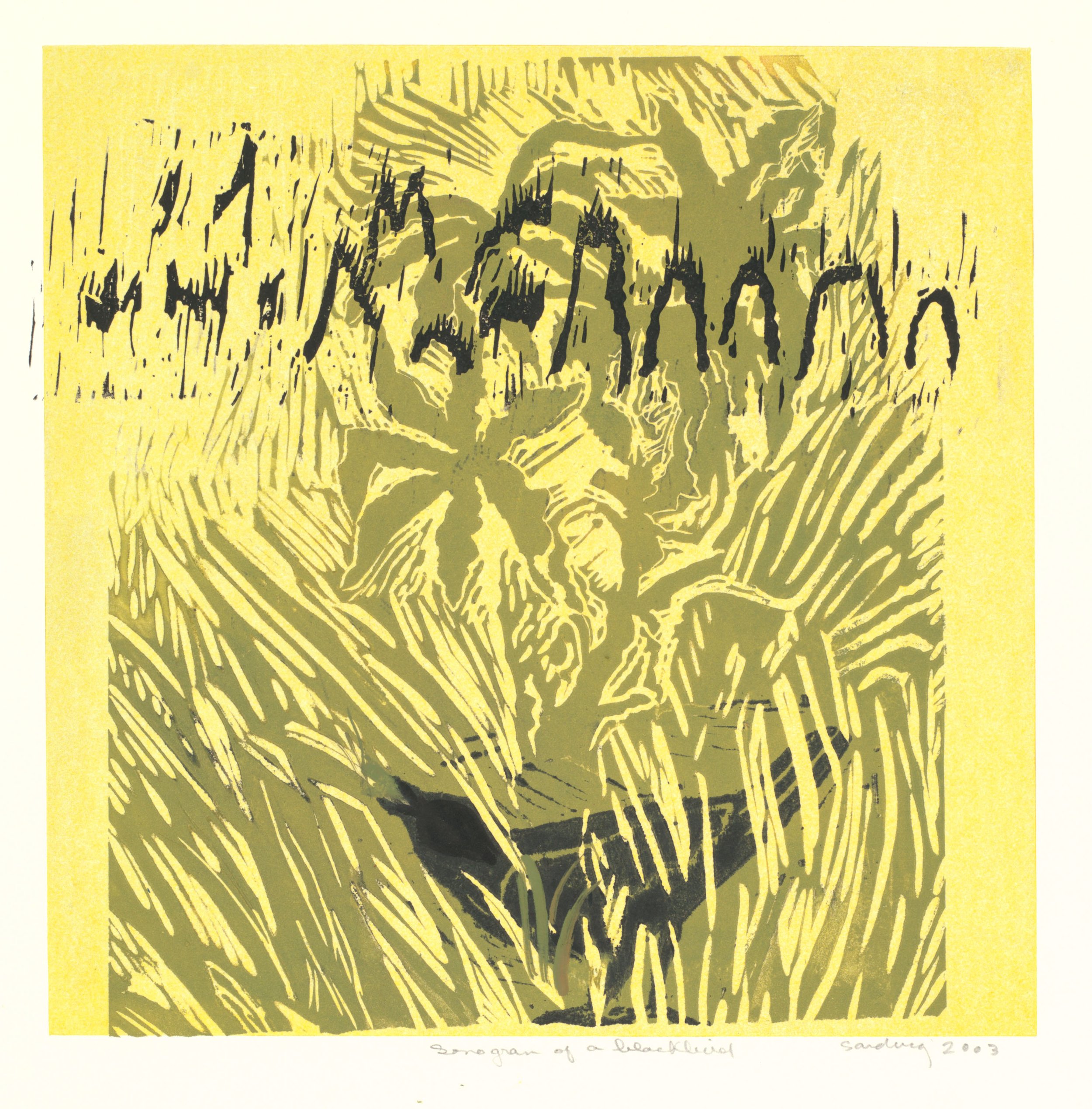 Sonogram of a Blackbird, 2003