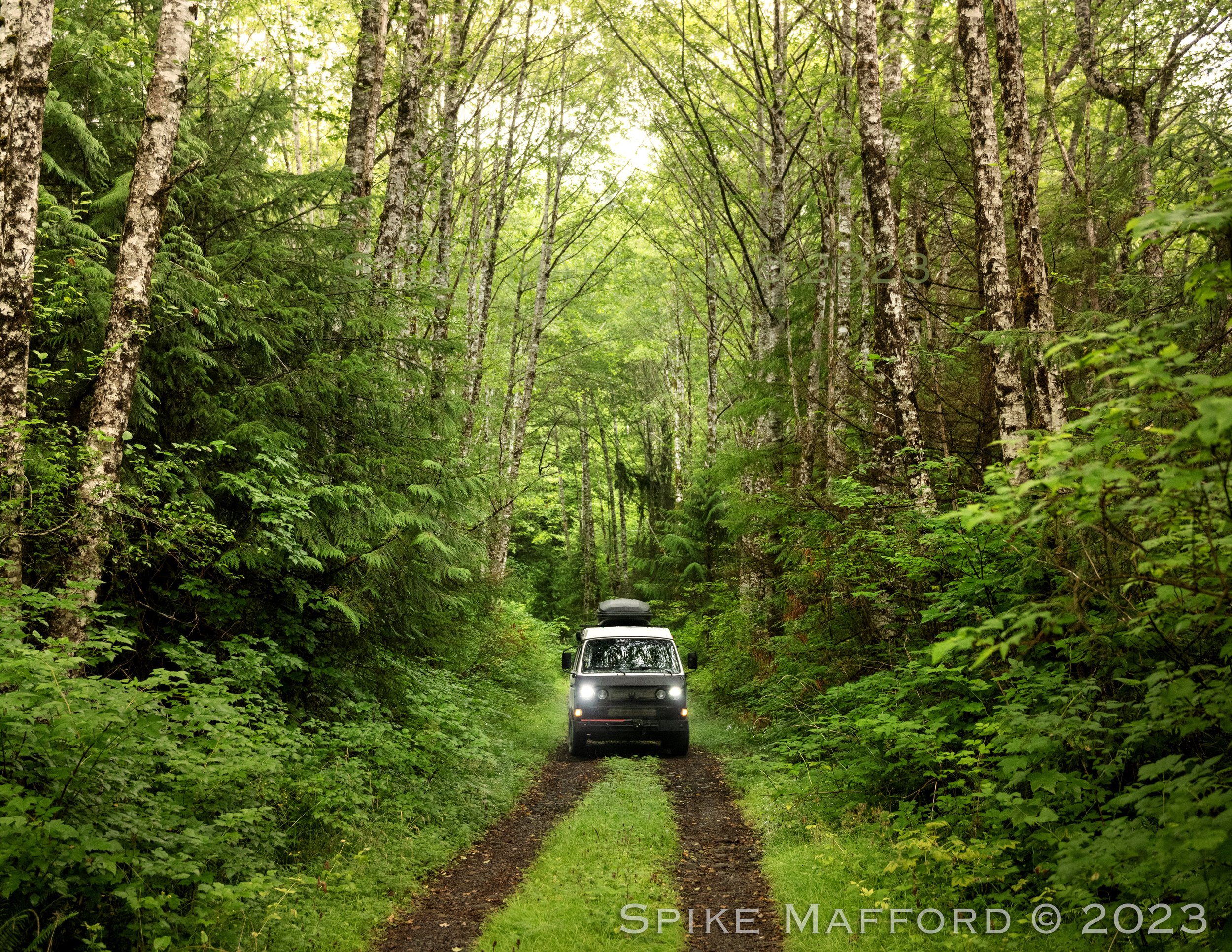 Exploring_Vancouver_Island_7917.jpg