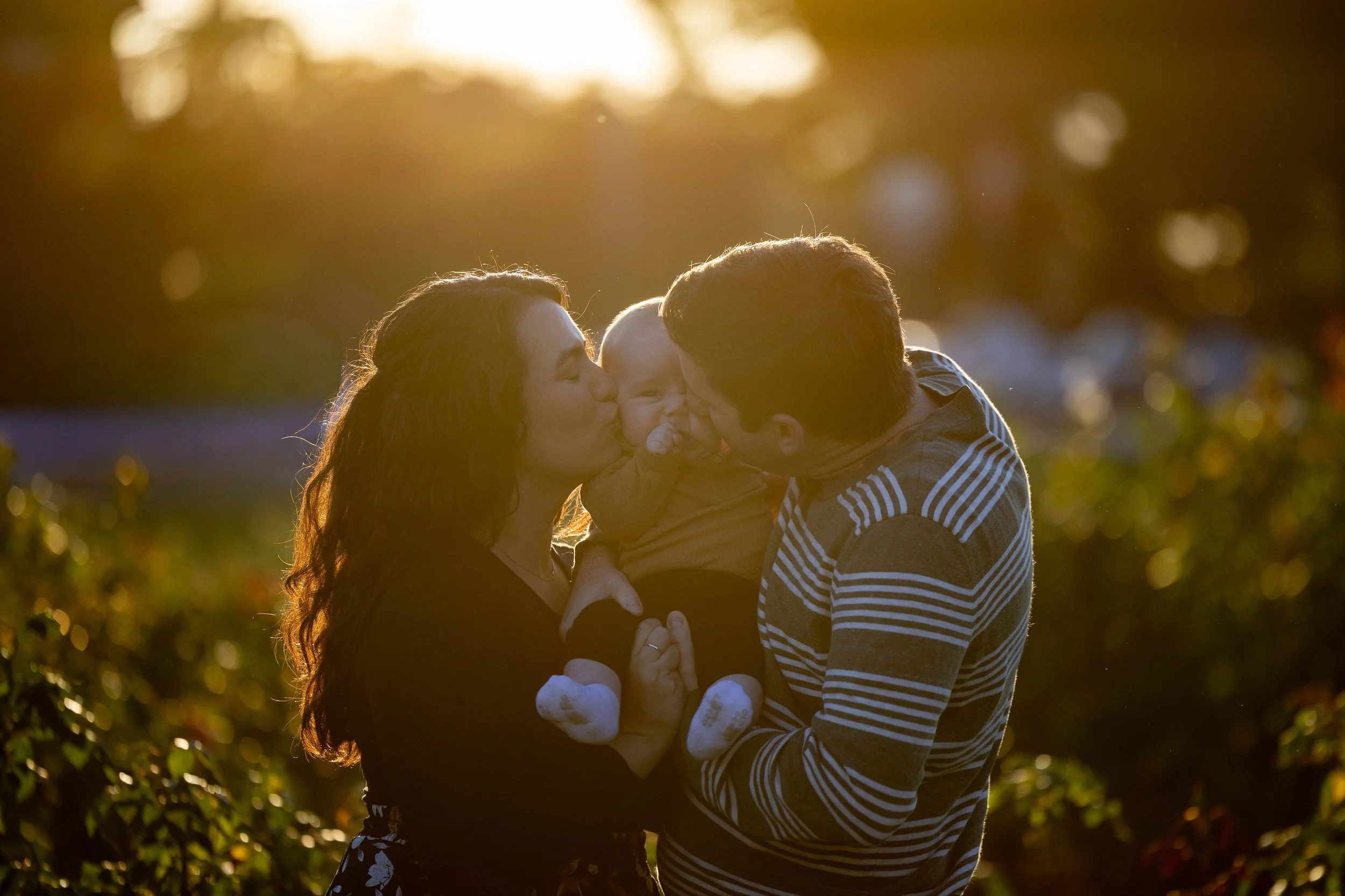 Mission Rose Garden | Santa Barbara