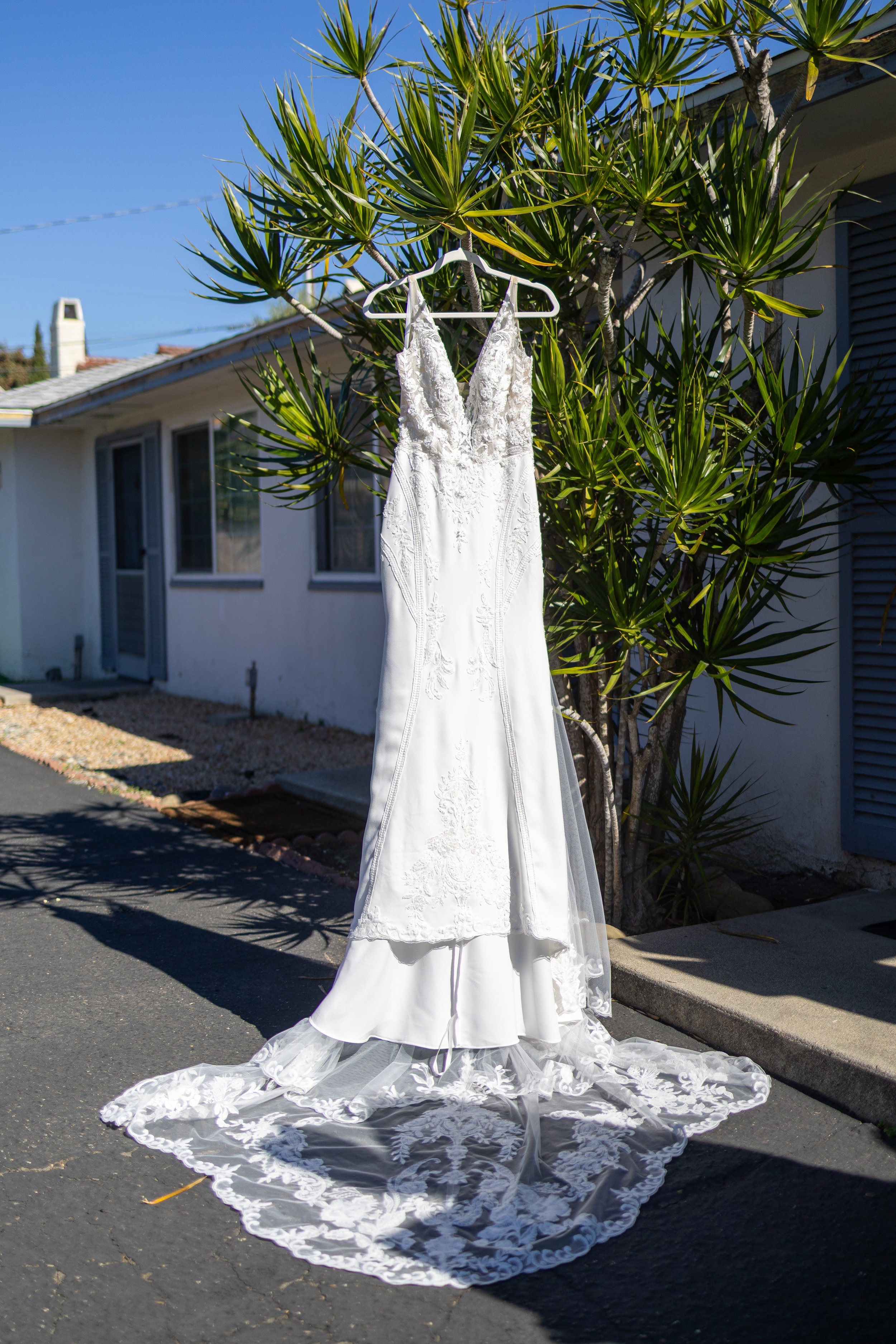White wedding dress hanging on a hanger outside a house next to a green plant on a sunny day.