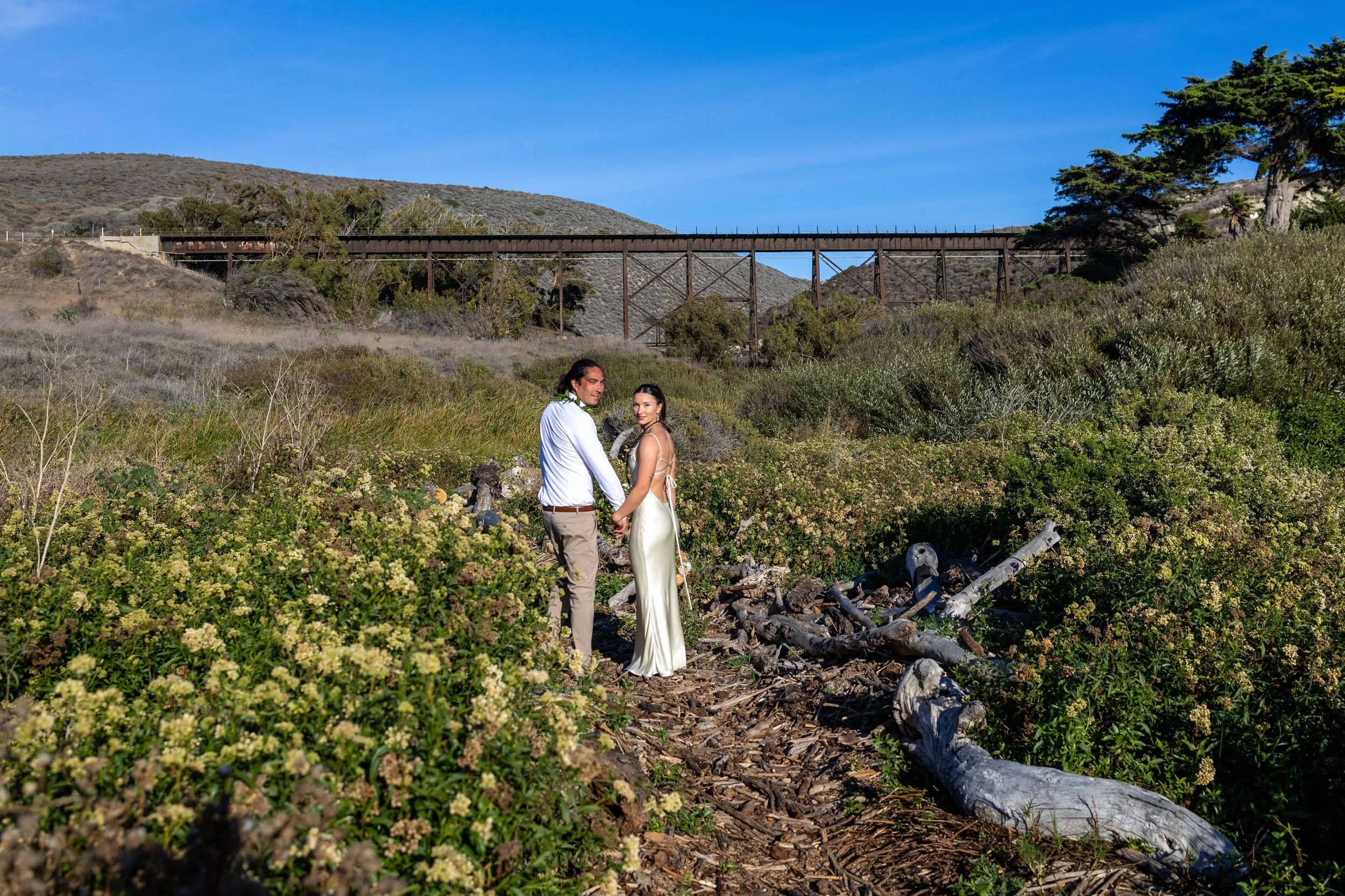 A couple holding hands and looking back at the camera in a natural outdoor setting with shrubs and fallen logs, under a clear blue sky, with a bridge and hills in the background.