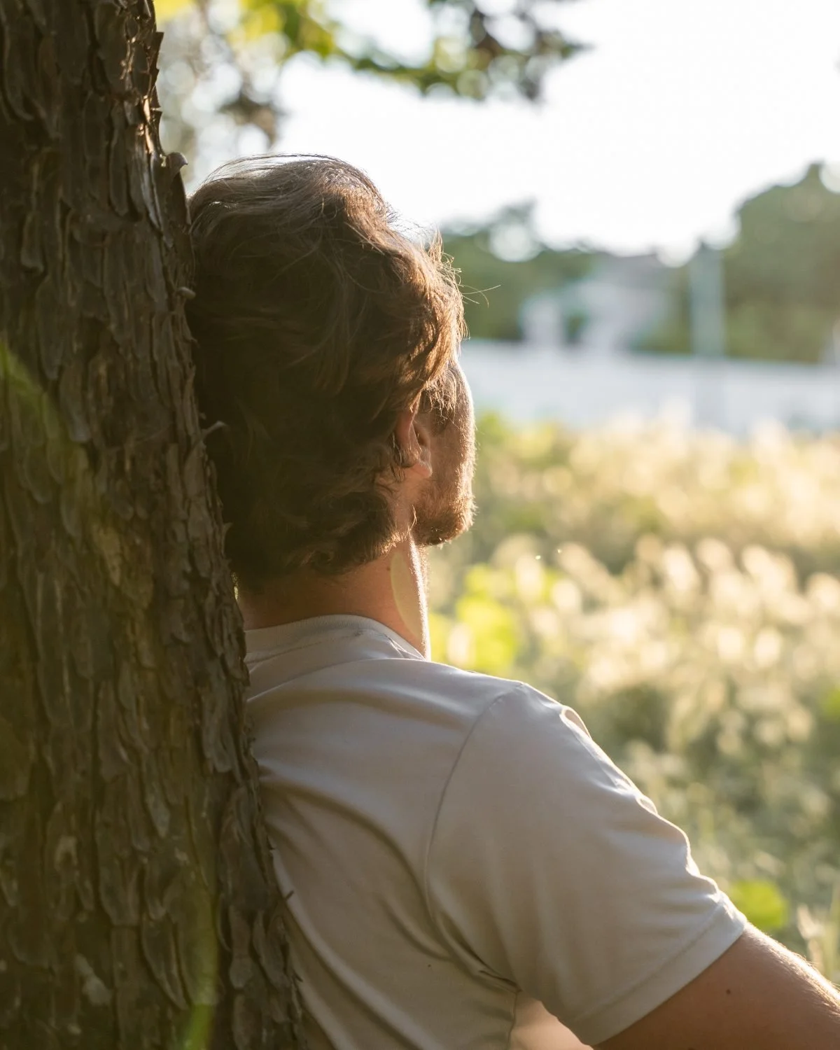 A man sitting at ease against a tree, looking out over a sunlit meadow