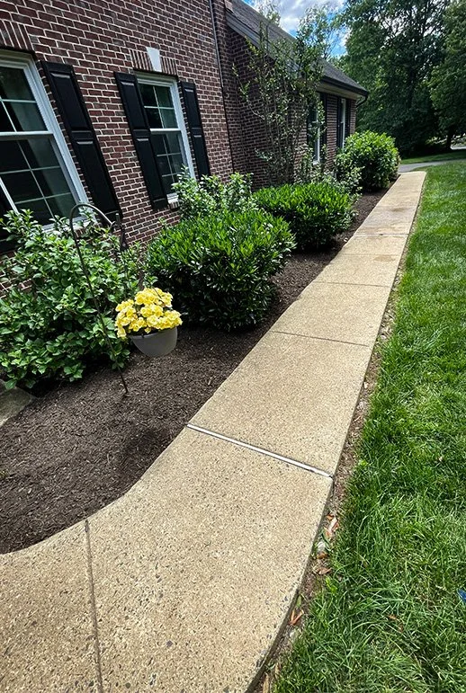 A concrete sidewalk runs alongside a brick house with black shutters. There are green bushes and a potted plant with yellow flowers next to the house, and a grass lawn on the other side of the sidewalk.