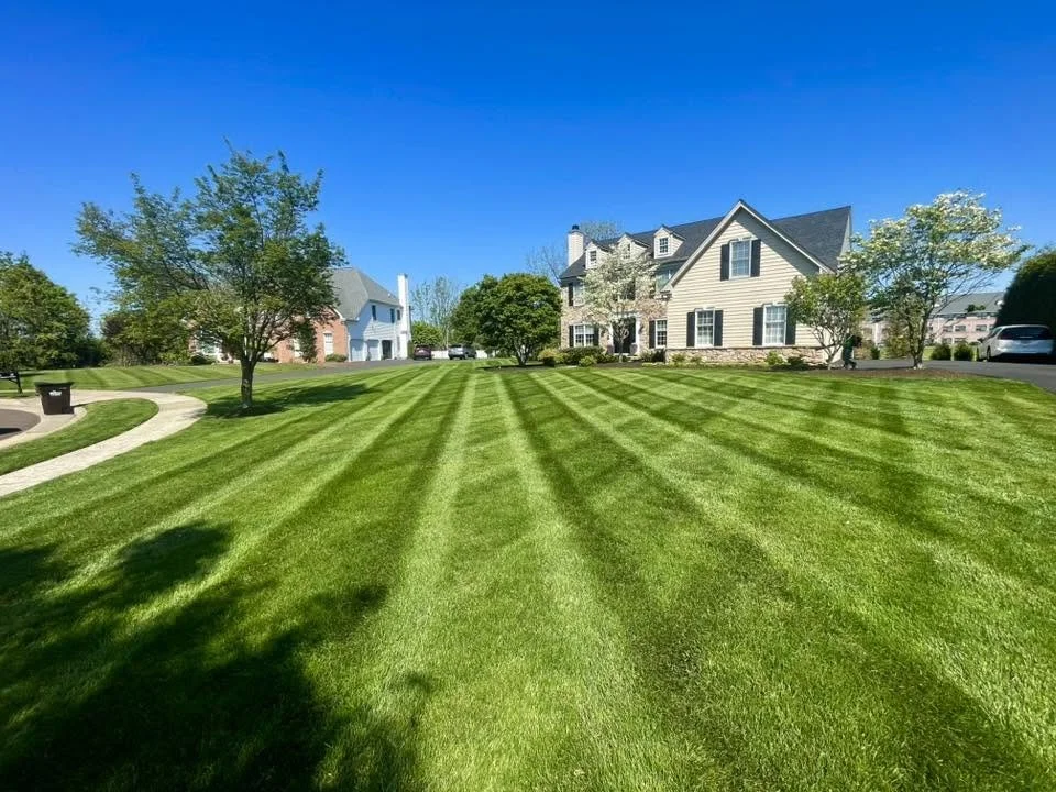 A well-maintained grassy lawn in front of a residential house with trees and a clear blue sky.
