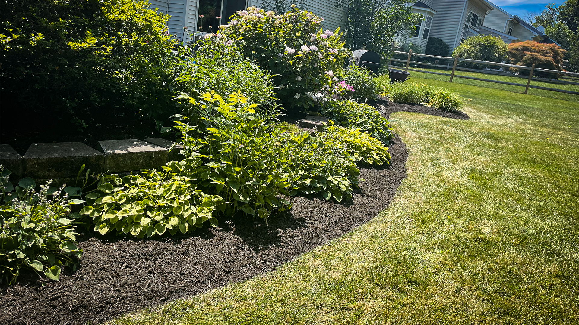 A well-maintained garden with lush green grass and flower beds with blooming plants, bordered by a black mulch path and a wooden fence in the background.