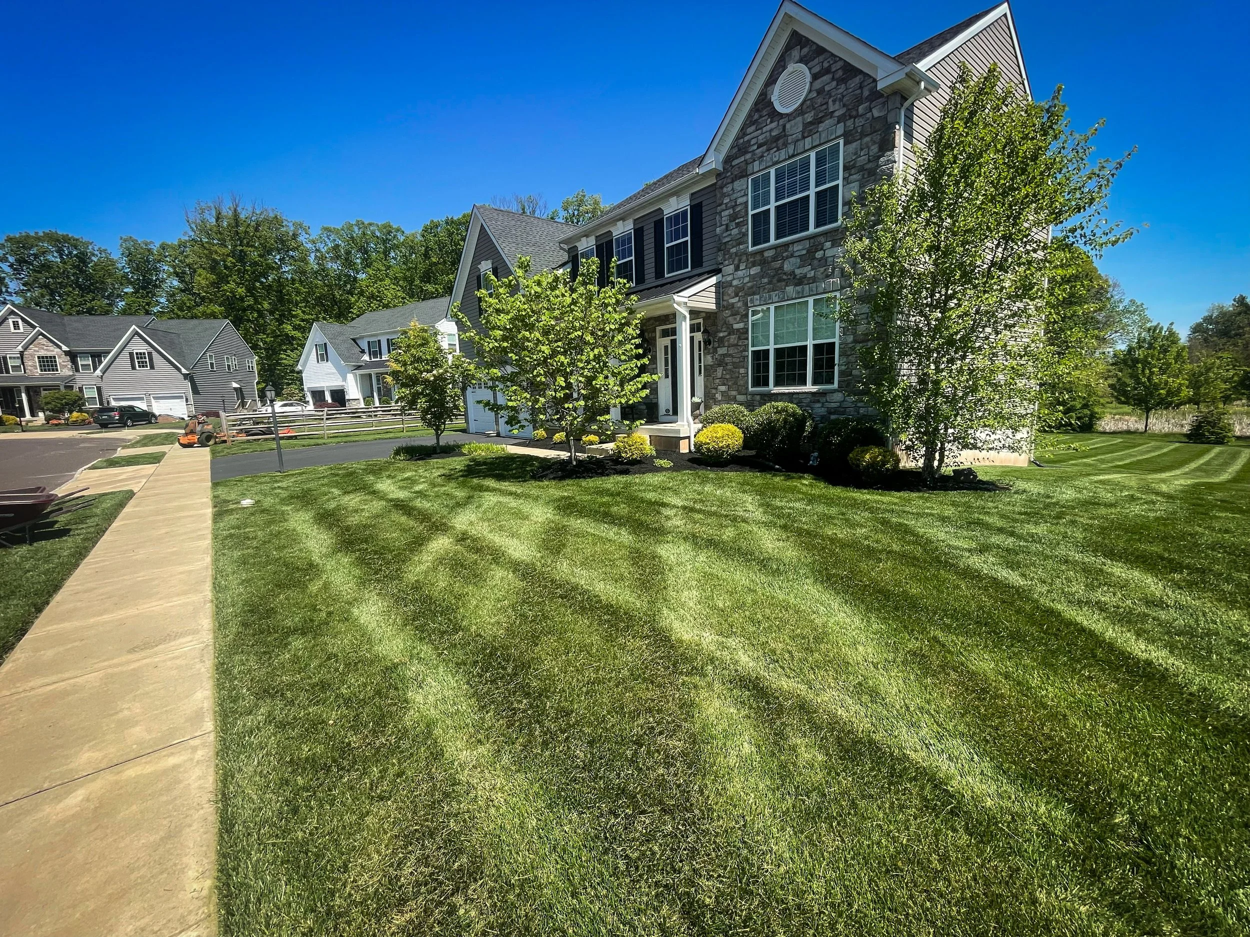 A suburban neighborhood with houses, a well-maintained lawn, and a clear blue sky.