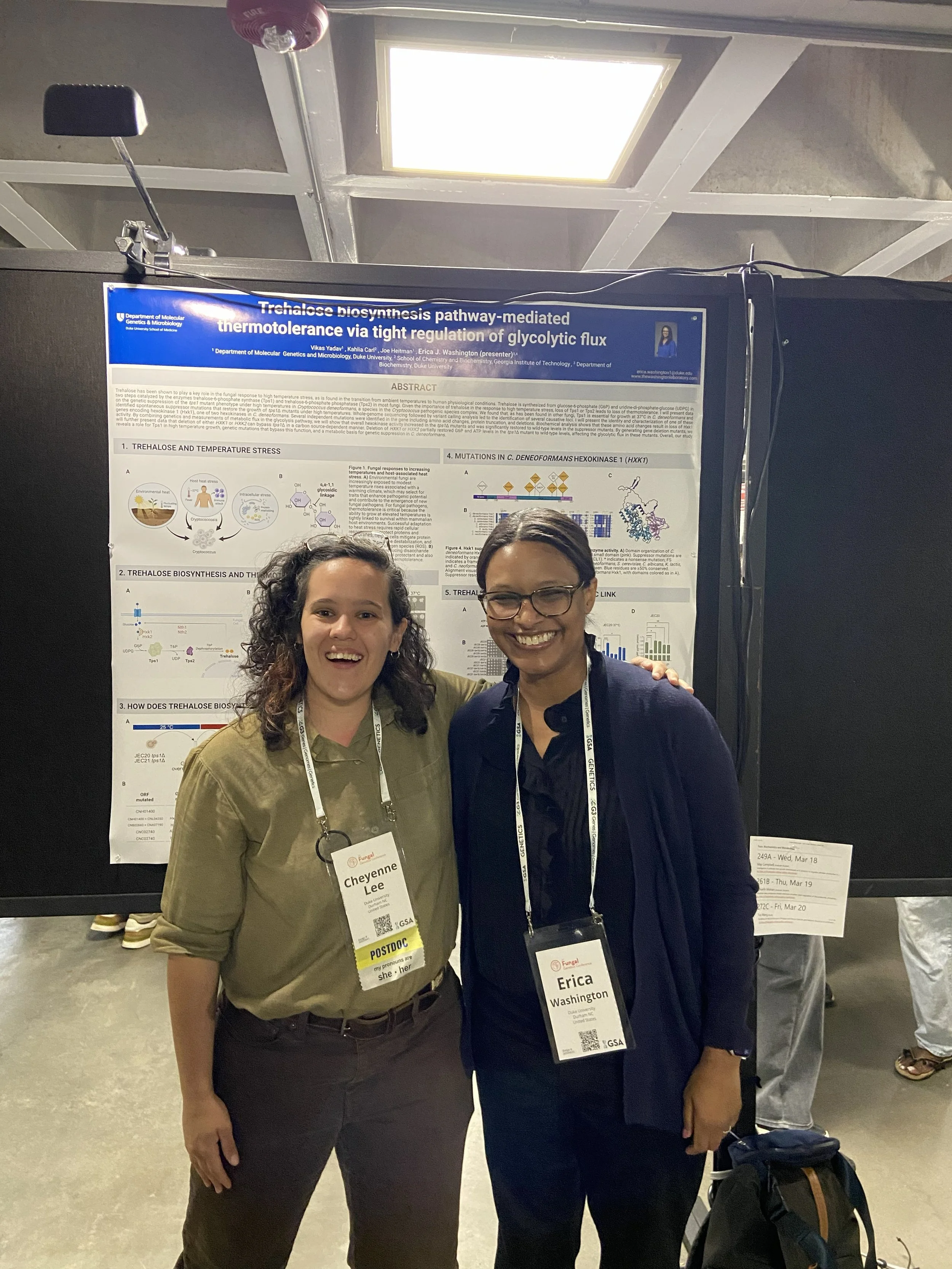 33rd Fungal Genetics Conference