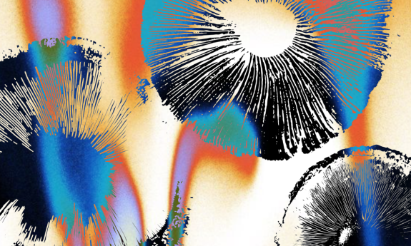 Washington lab research highlighted in Duke publication