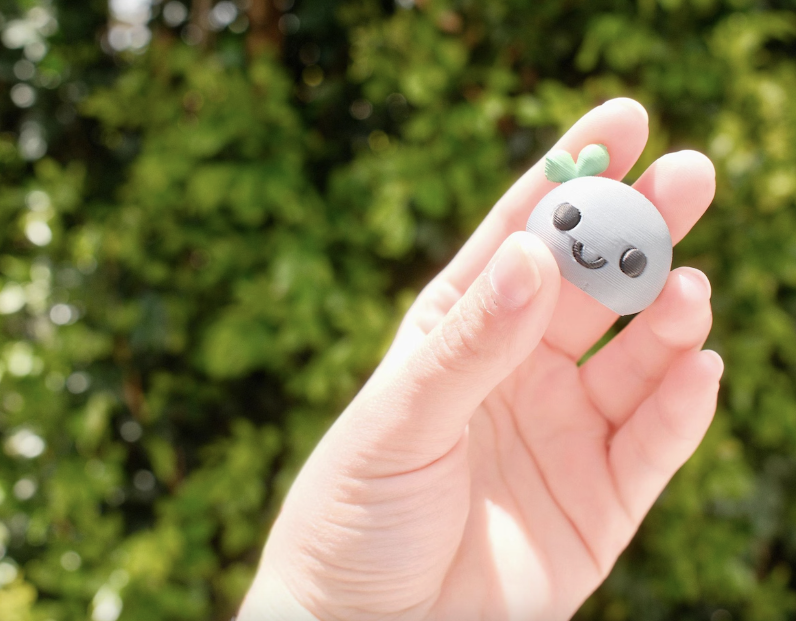 pebble
