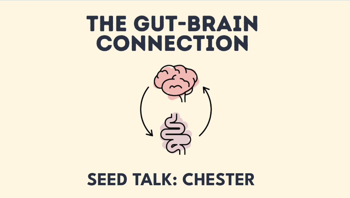SEED TALK: The Gut-Brain Connection - Birmingham