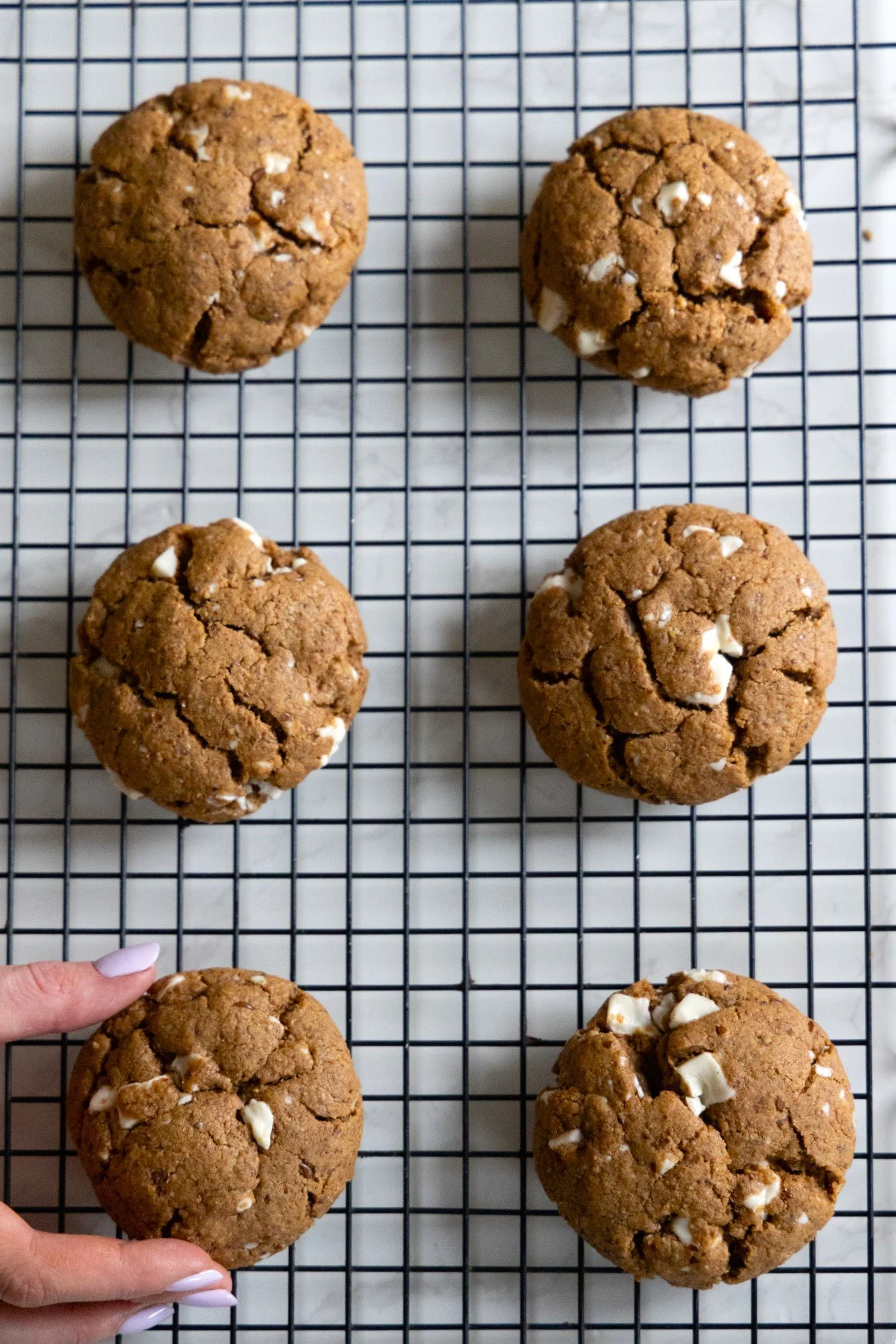 GINGERBREAD COOKIES