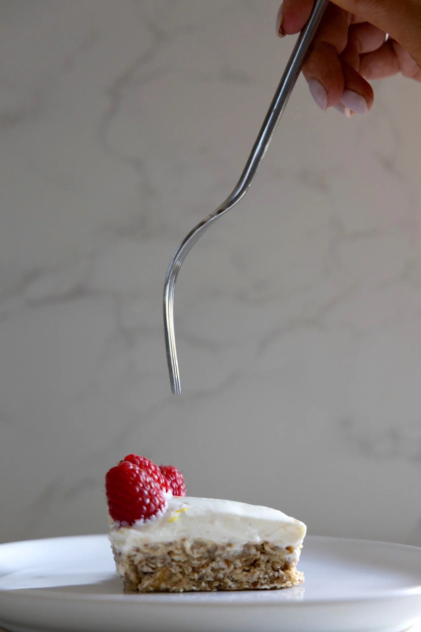 GUT HEALTH CHEESECAKE