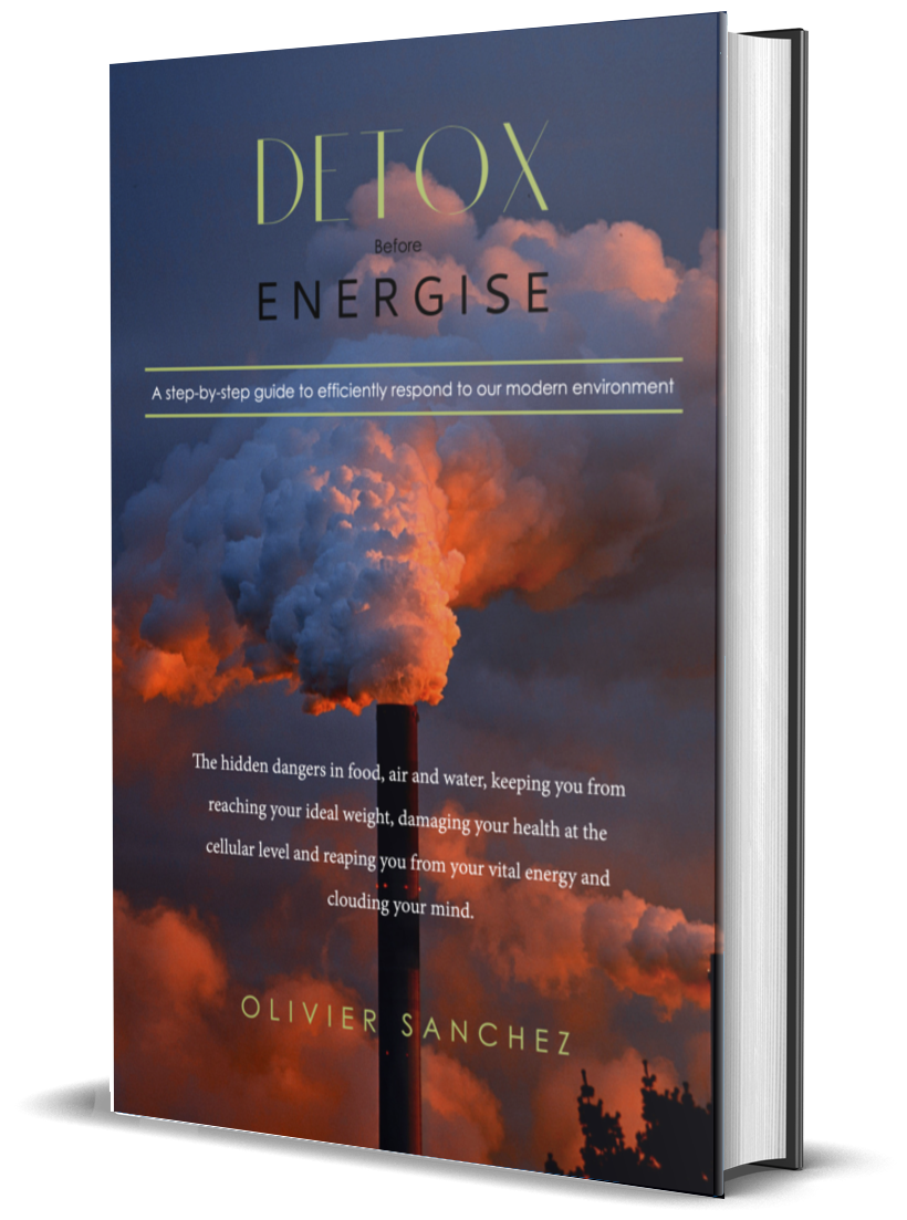 Book cover titled 'Detox Before Energise' by Olivier Sanchez, featuring an image of smoke or steam rising against a sunset sky. Subheader reads: 'A step-by-step guide to efficiently respond to our modern environment.'