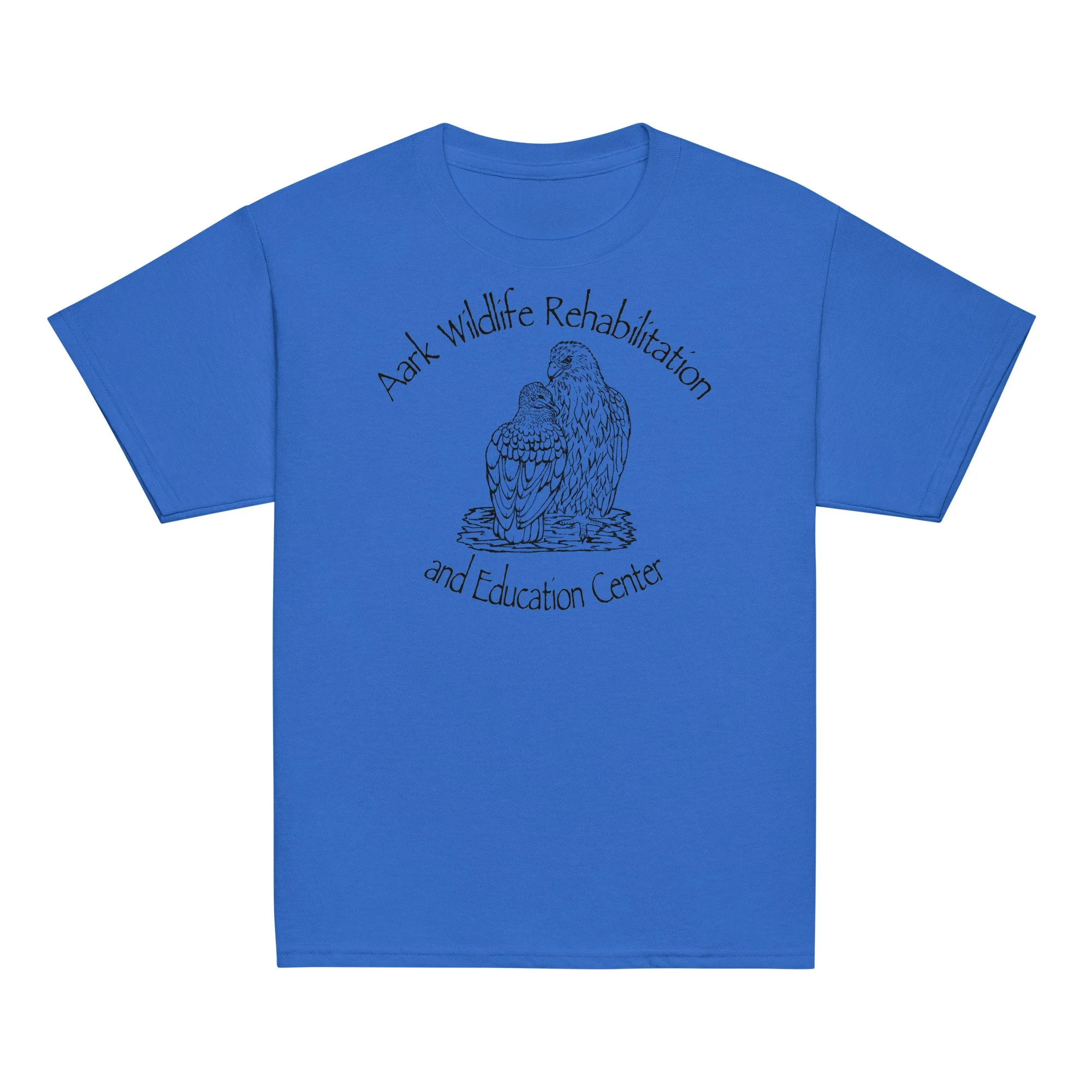 youth-classic-tee-royal-front-67585d202e88b.jpg