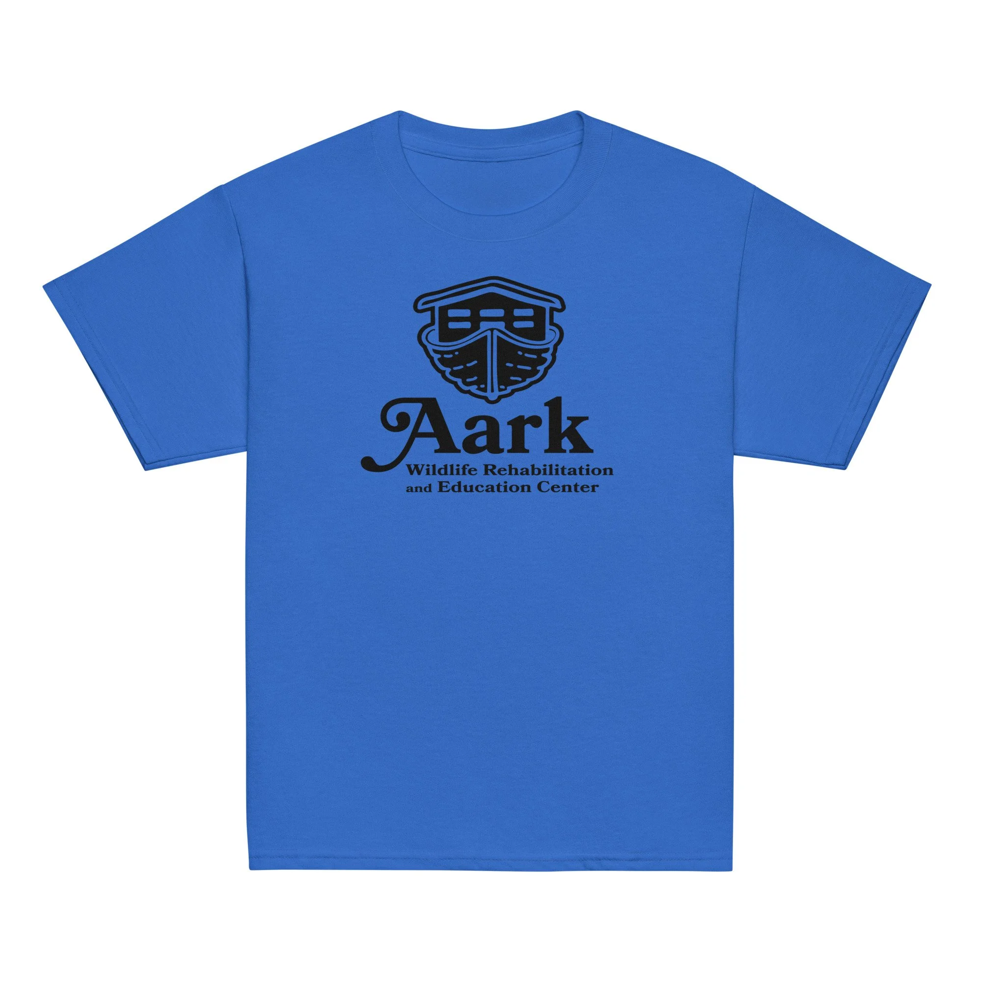 youth-classic-tee-royal-front-6759b7204e032.jpg