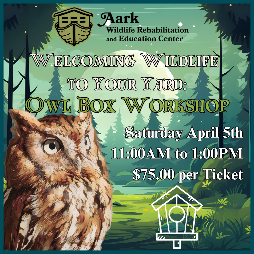 Aark Events Events — Aark Wildlife Rehabilitation and Education Center