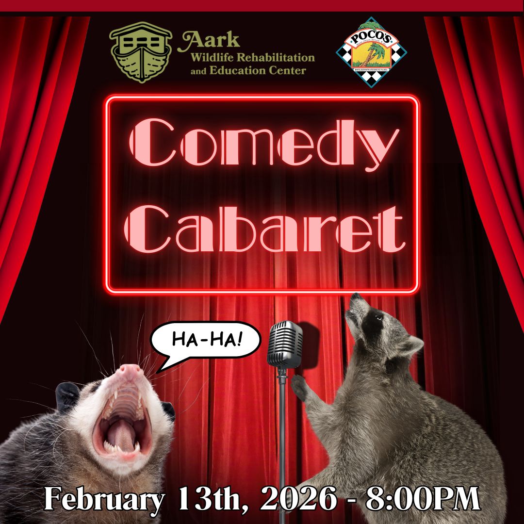 Comedy Cabaret Funny Fundraiser