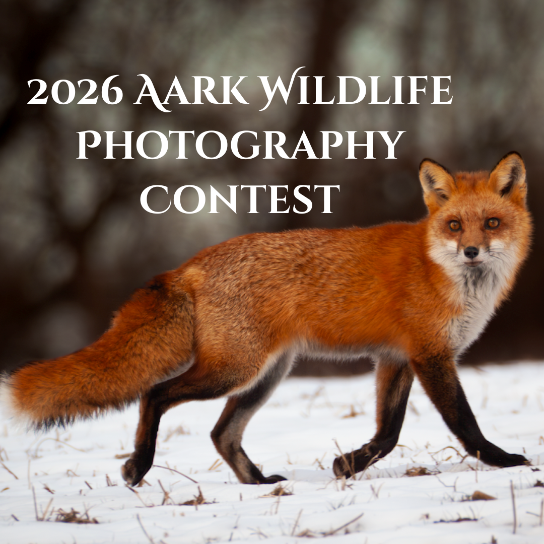 2026 Aark Wildlife Photography Contest