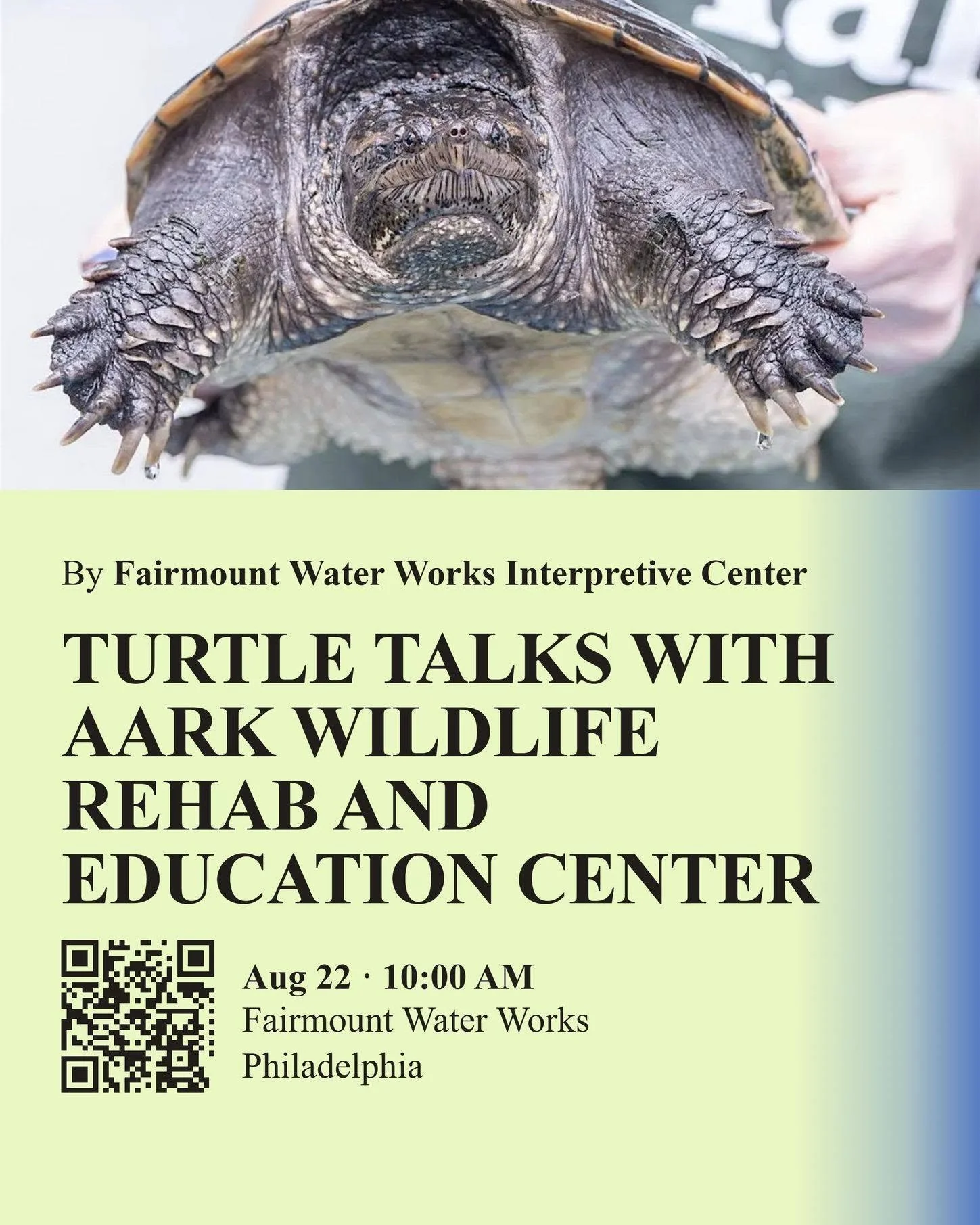 Turtle Talks