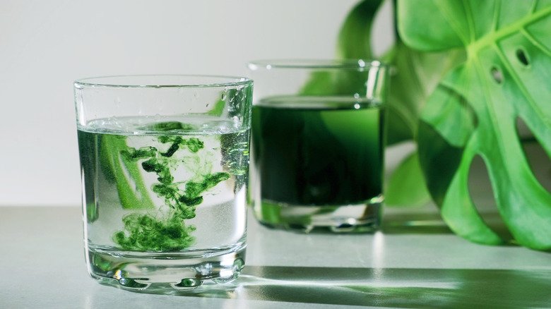 Chlorophyll Liquid