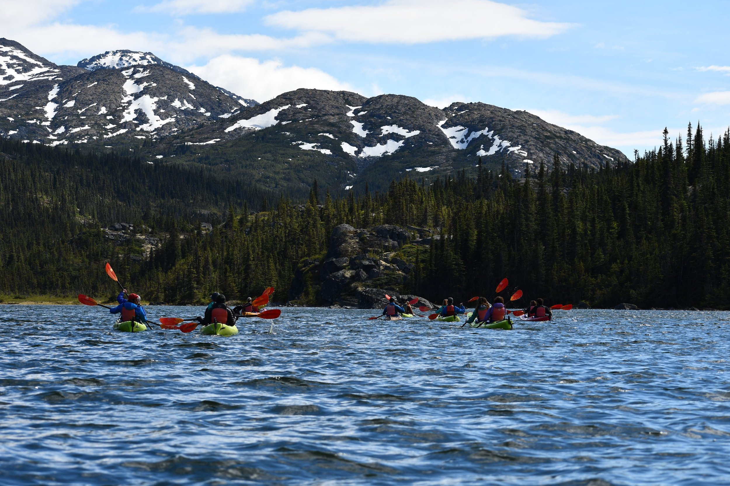 Tours — Packer Expeditions