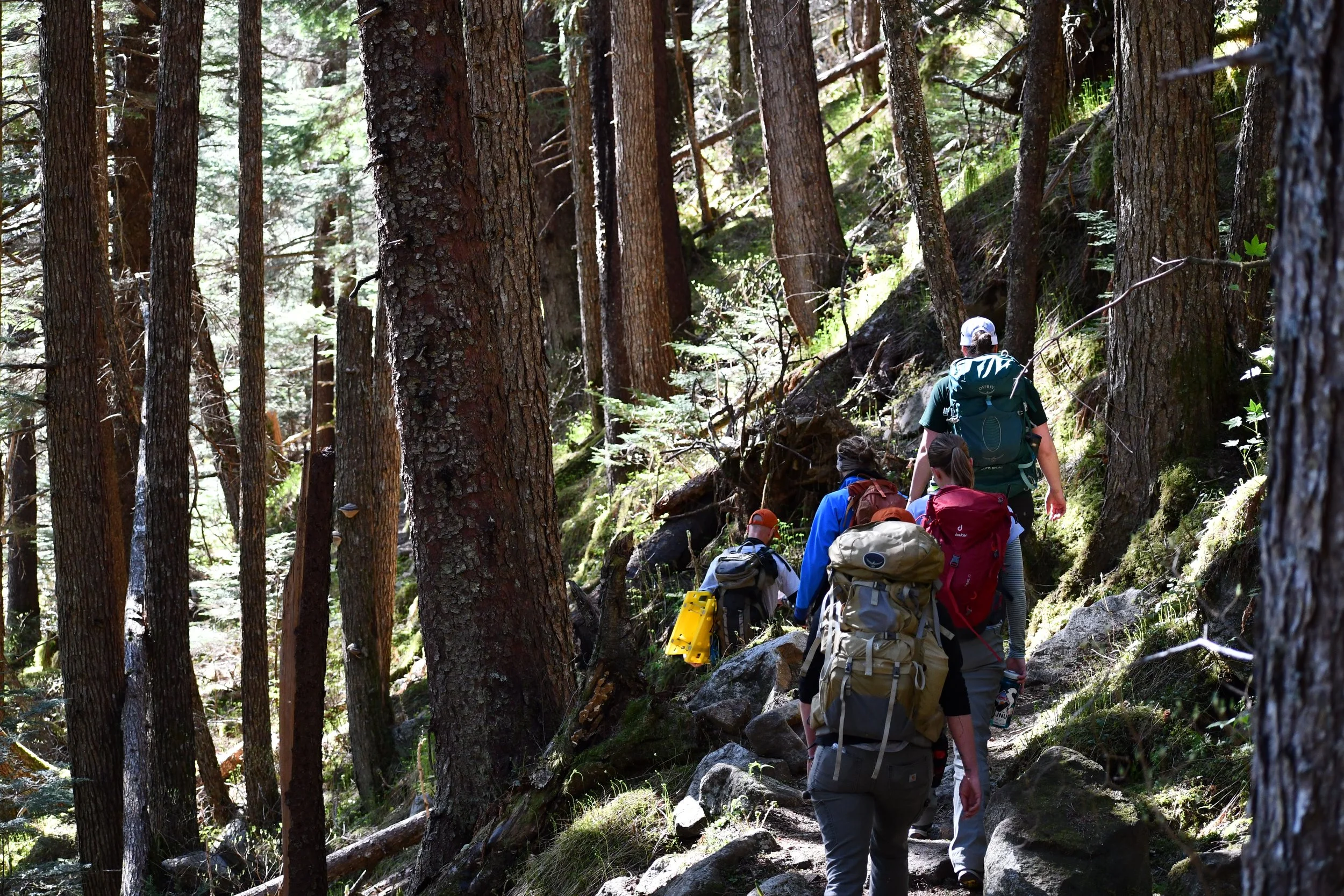 Tours — Packer Expeditions