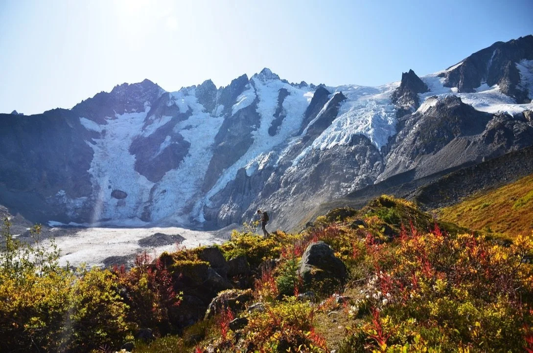 Tours — Packer Expeditions