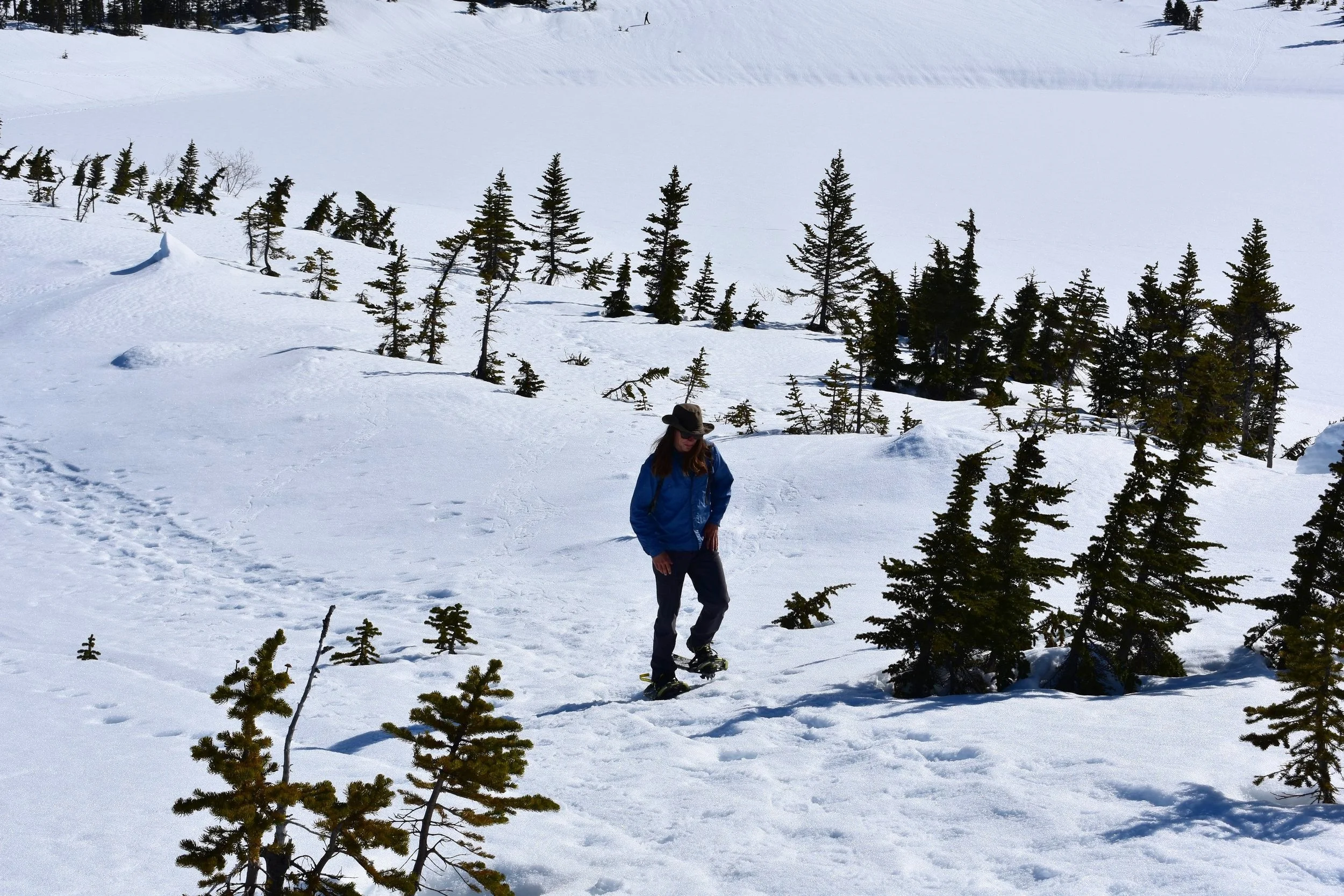 Tours — Packer Expeditions