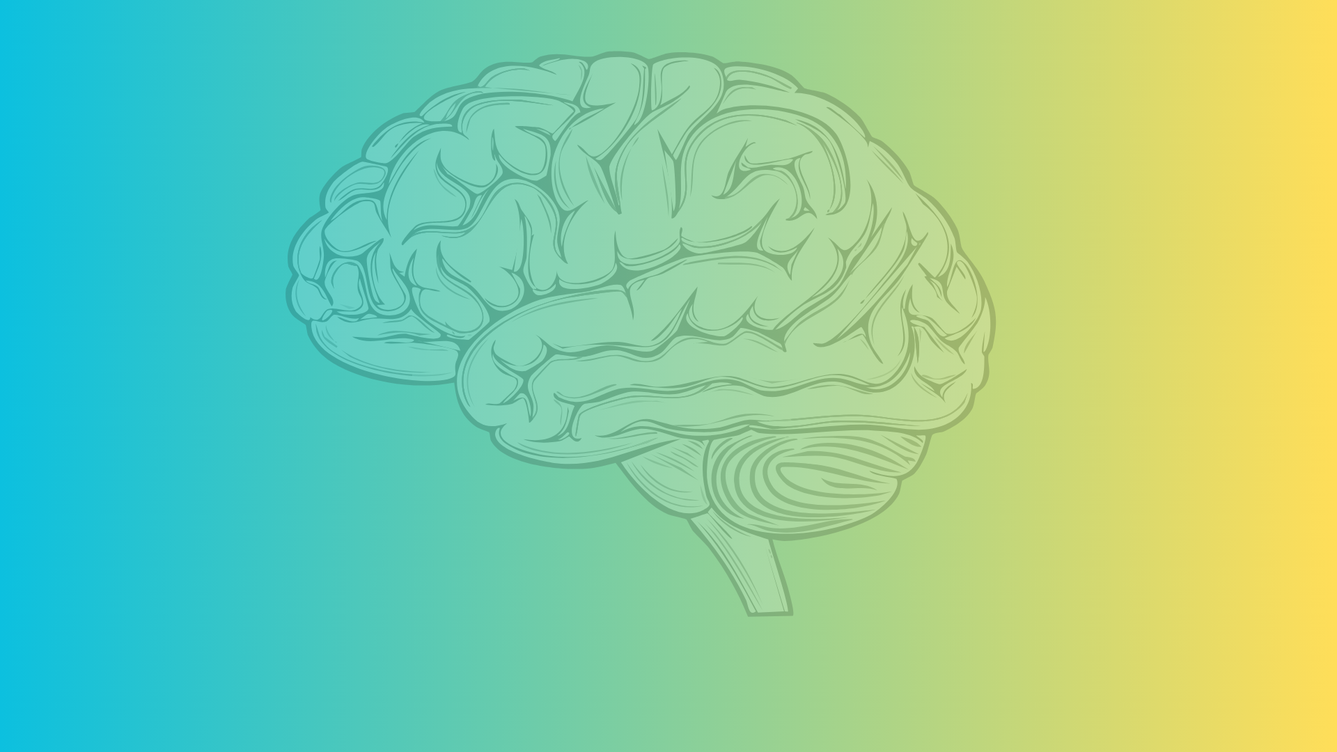 The New Definition of Dyslexia