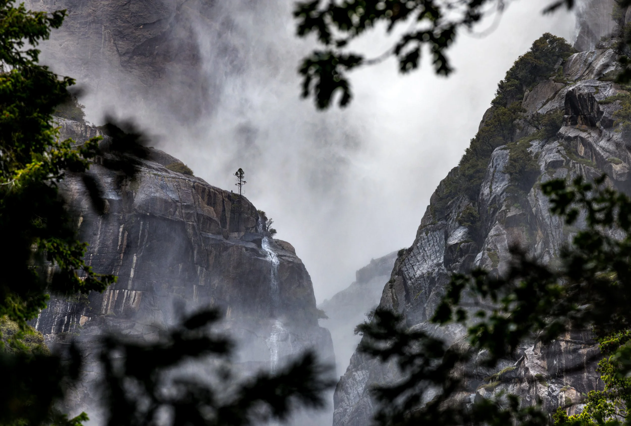 A foggy mountain landscape with large cliffs, mist, and trees in the foreground.