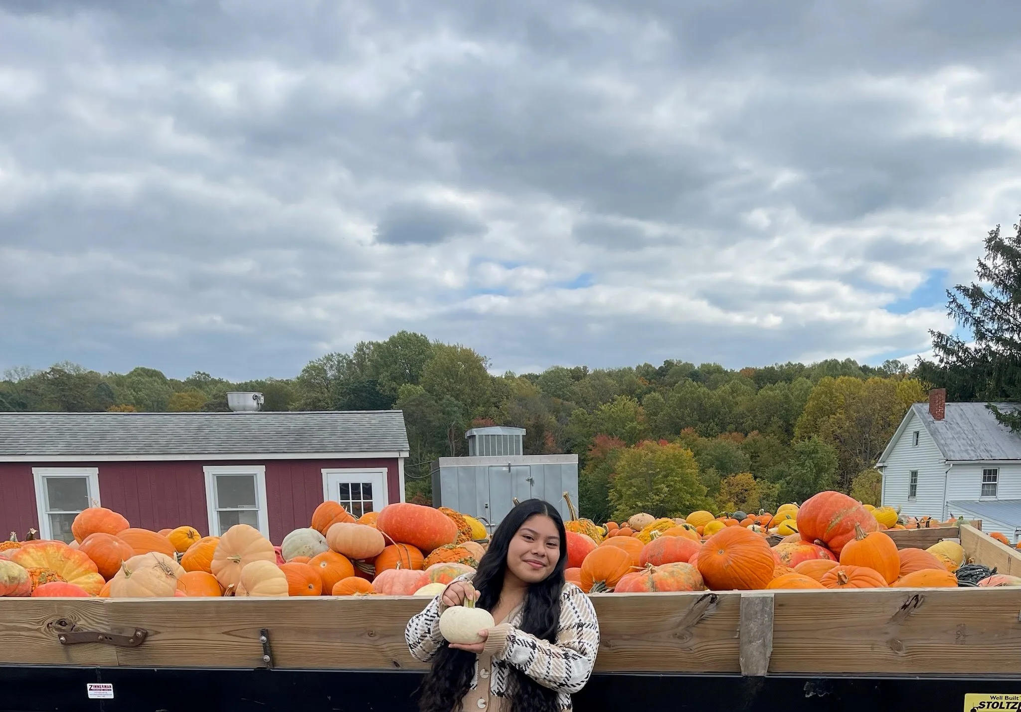 What I learned from shadowing