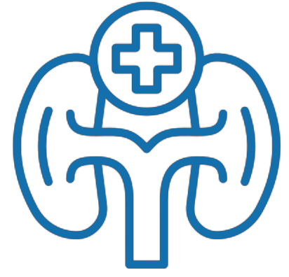 Outline of human kidneys with a medical cross symbol above