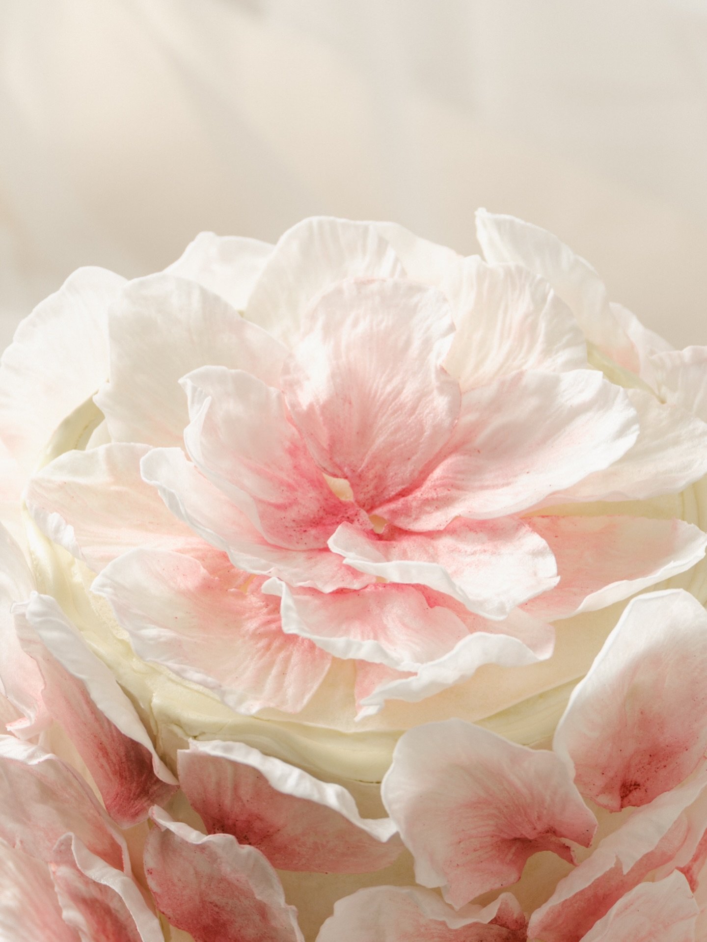 Details made to be noticed 🌸

#weddingcakedesign #sydneyweddingcakes #sydneycakes #floralcake #babyshowercakes