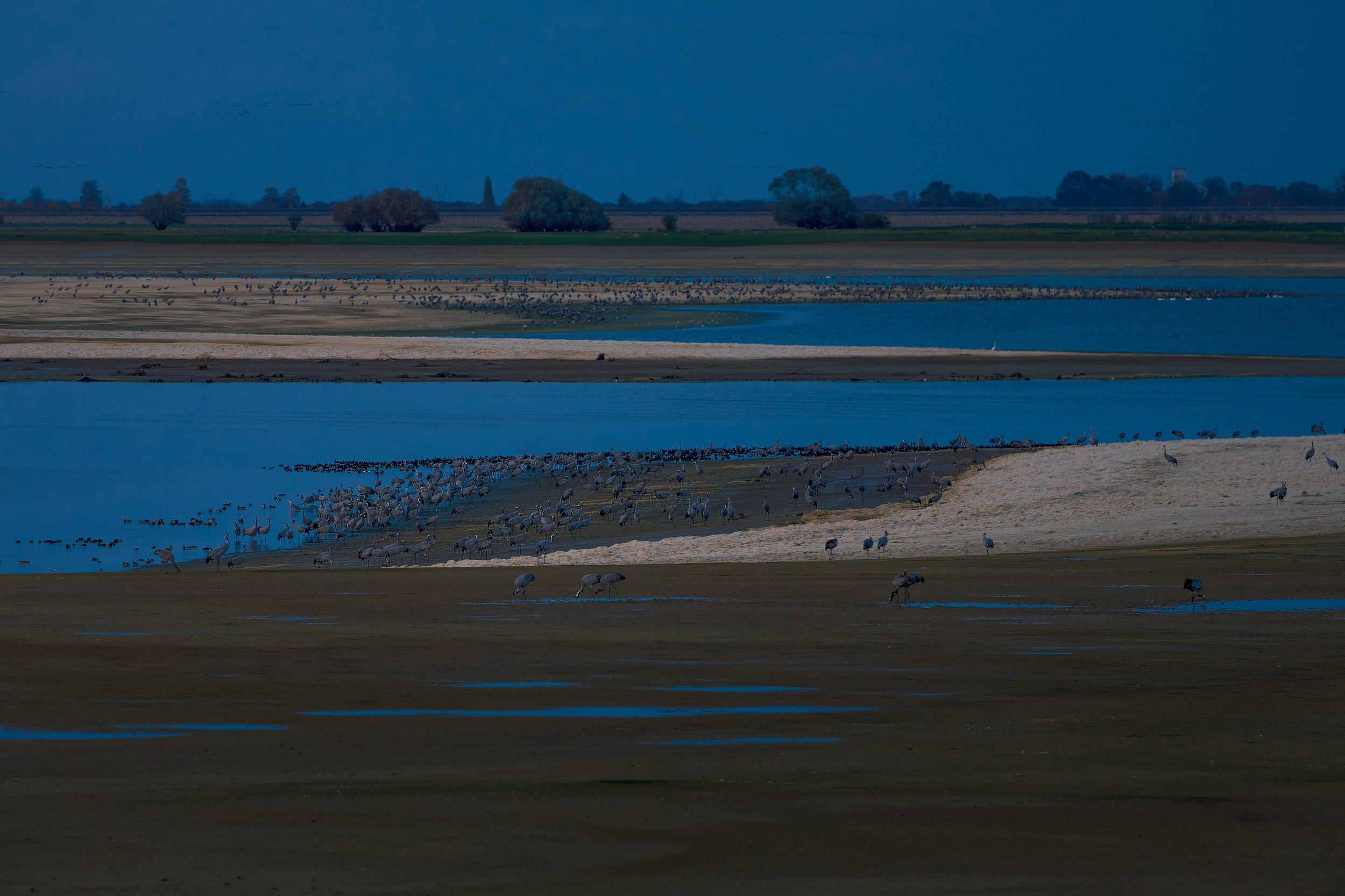 _7R43960-2.jpg