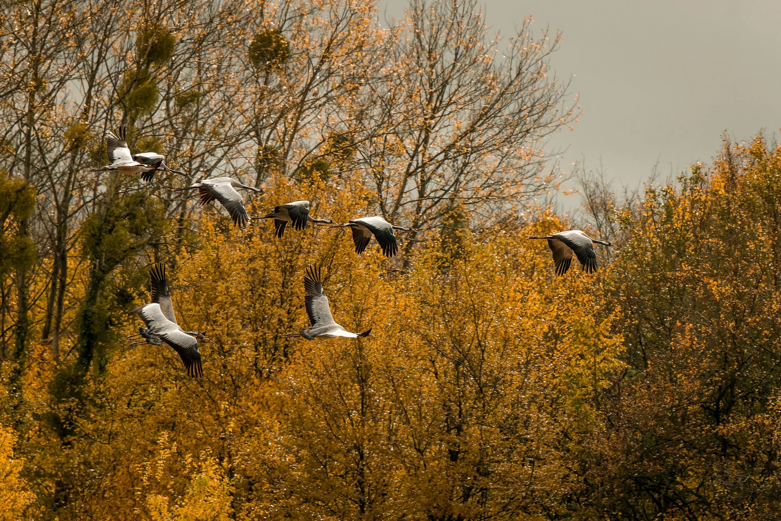 _7R45771-ARW_DxO_DeepPRIME.jpg
