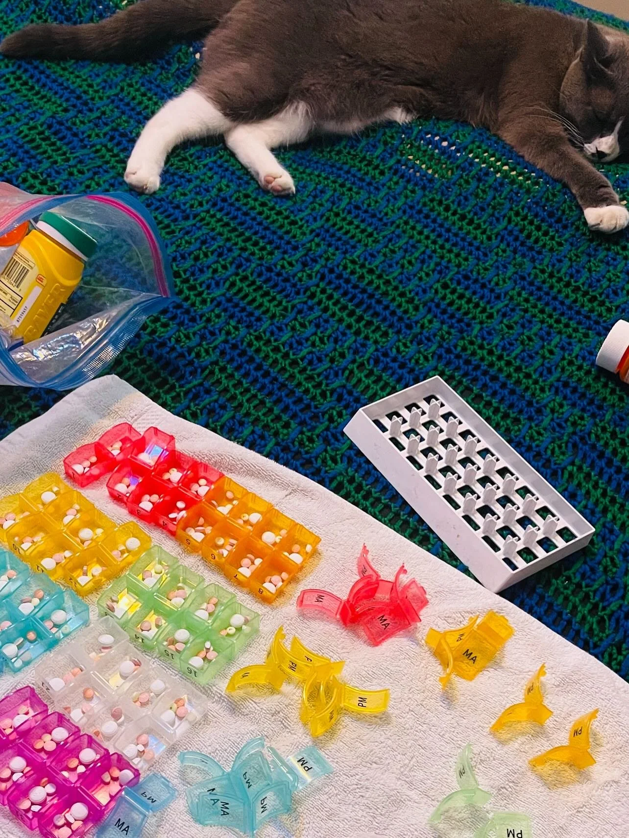 Post-holiday catchup: mom&rsquo;s meds for the month organized and her laundry completed. July can begin. Time to get to work! But first, a little Meowsi playtime. 😻👨🏾&zwj;💻📹

Here&rsquo;s to making good use of the second half of 2025! 

#Caregi