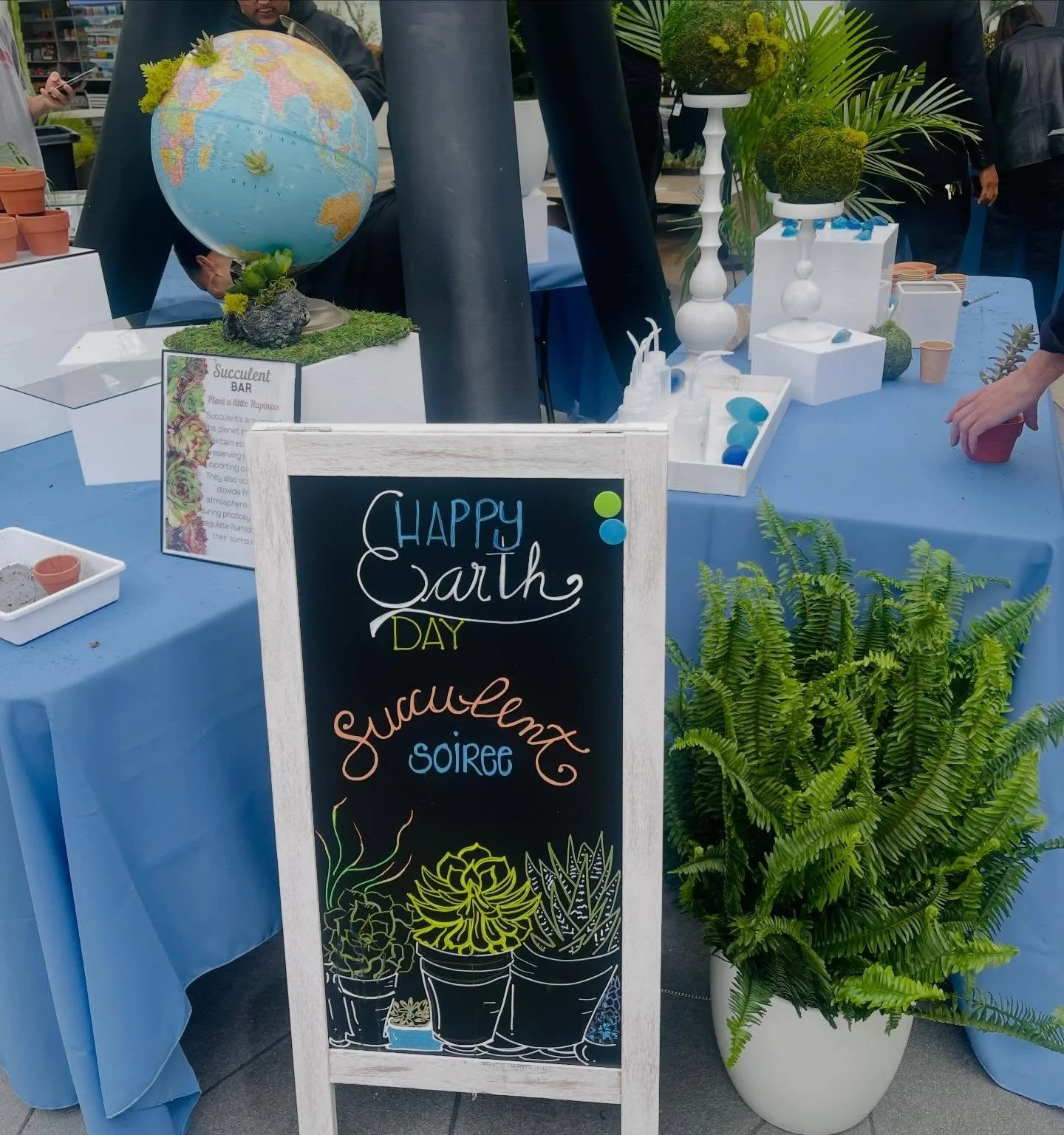 Earth Day Succulent Soir&eacute;e at work today. My little office garden is growing. 🪴😃