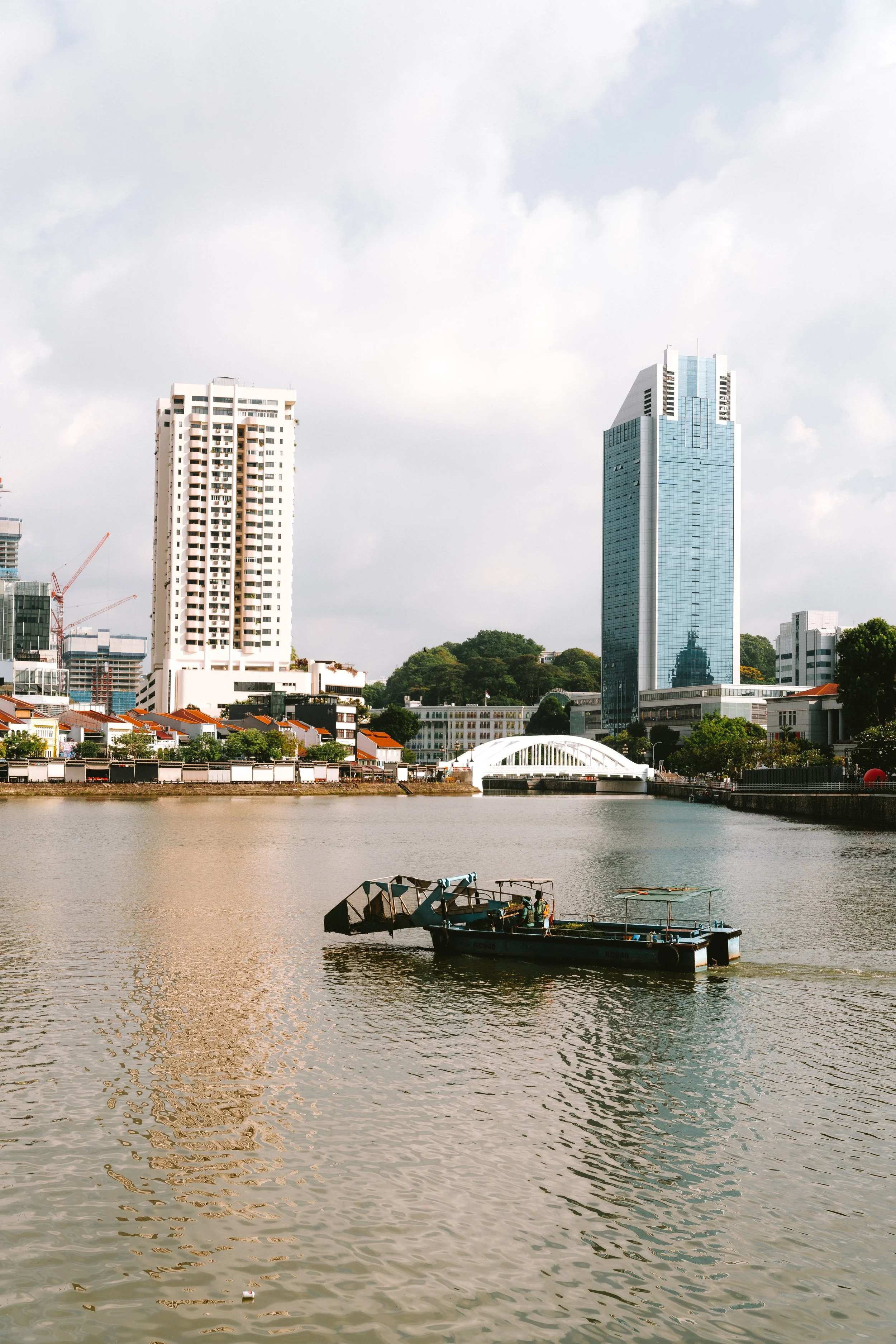 MP_08741.jpg