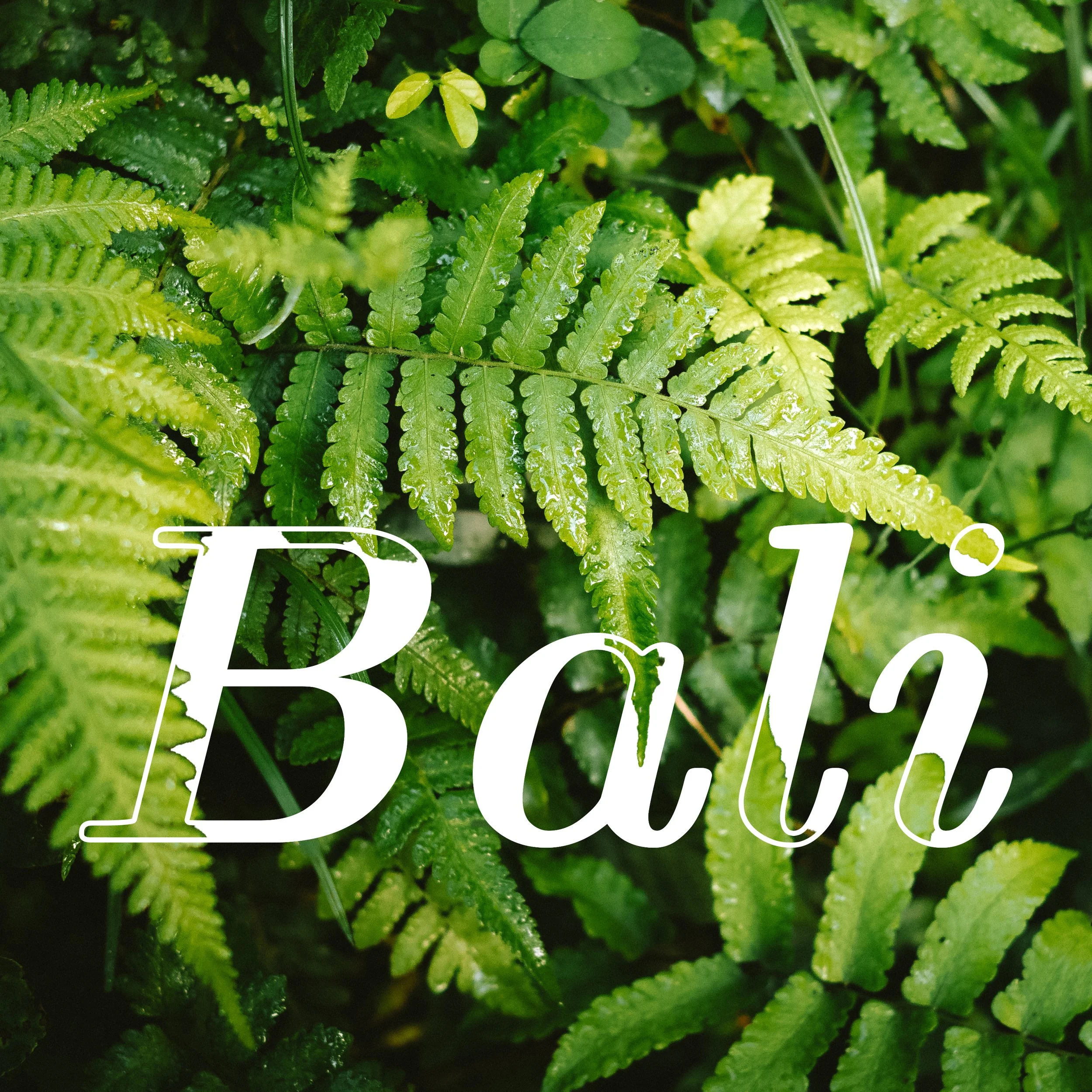 Bali