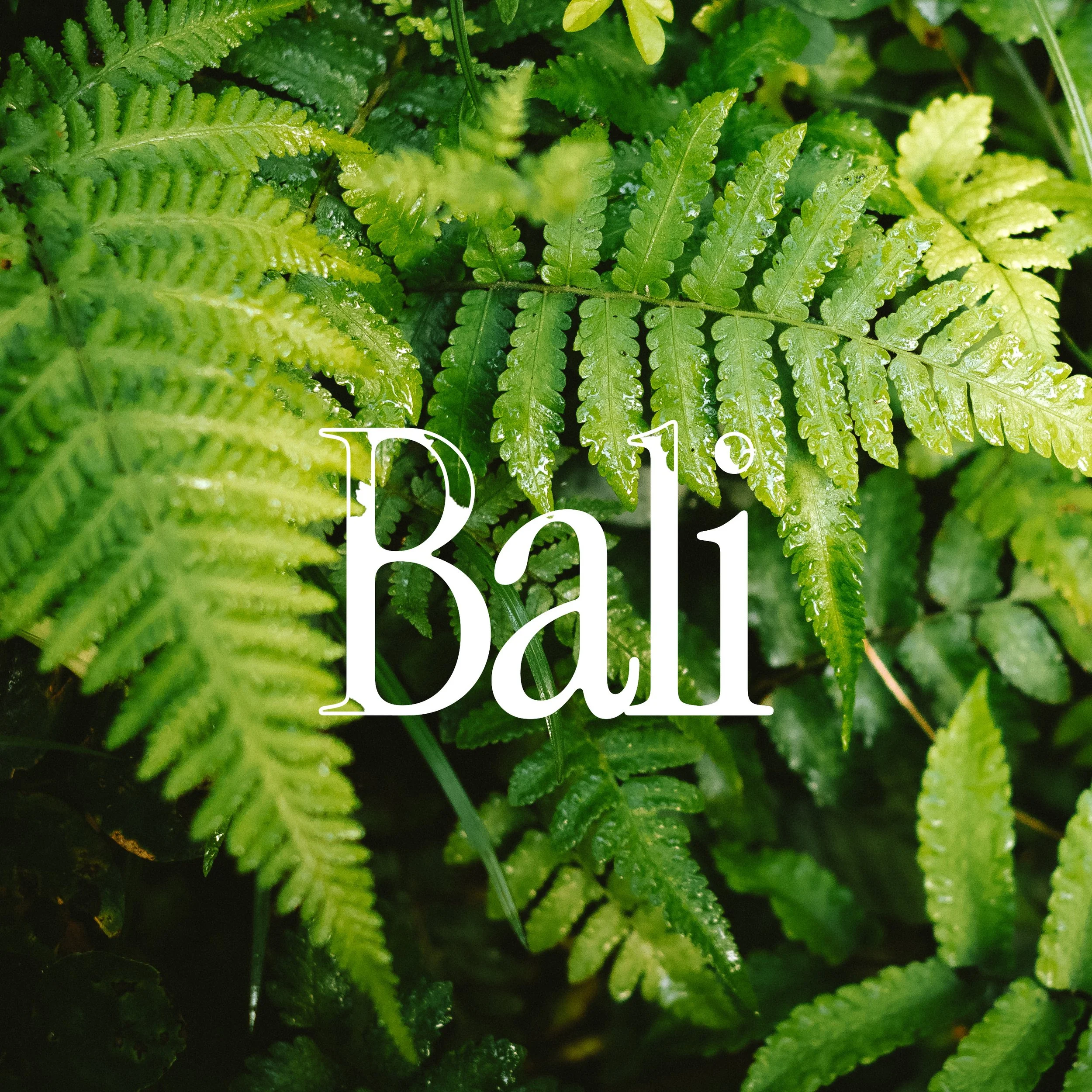 Bali
